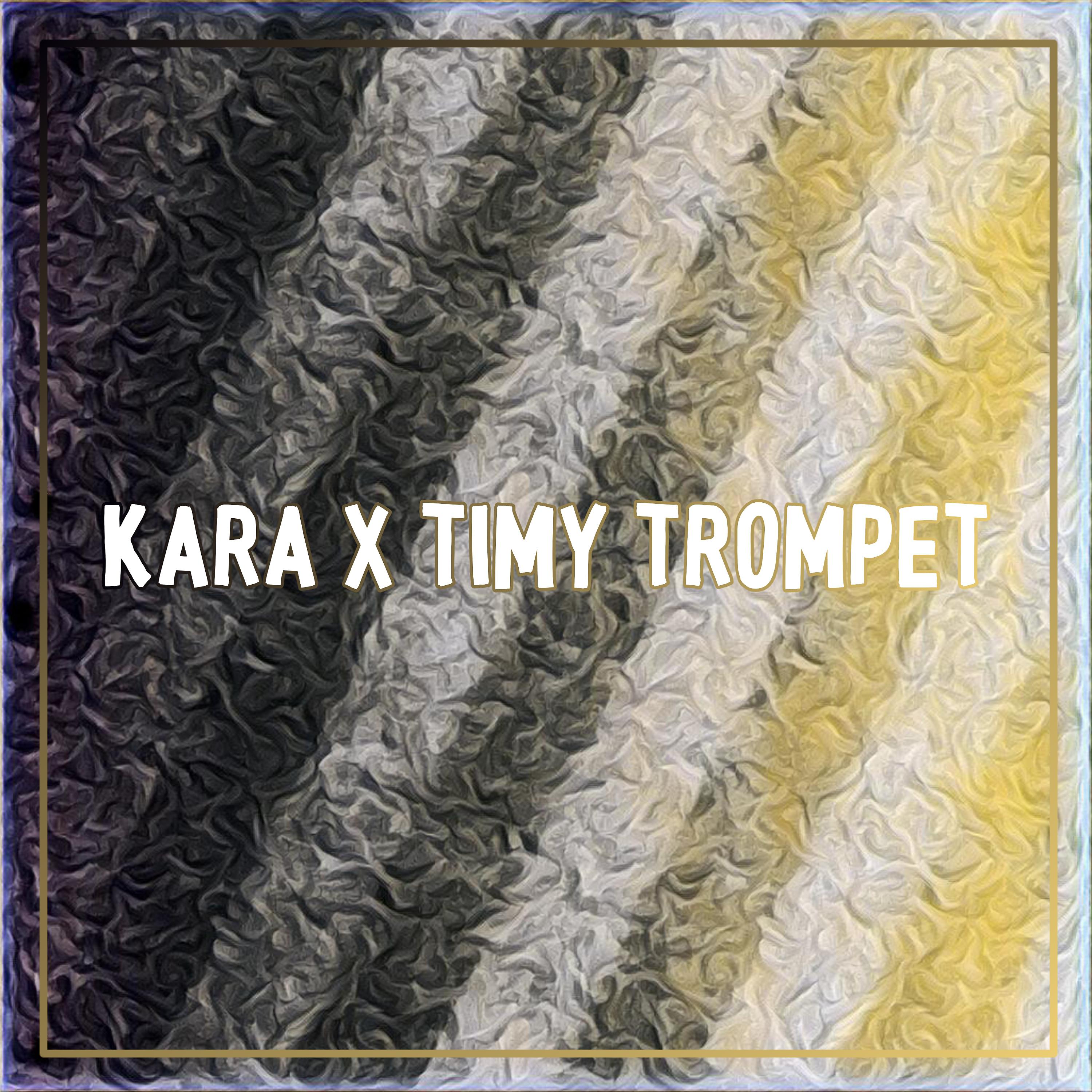 Постер альбома KARA / TIMY TROMPET