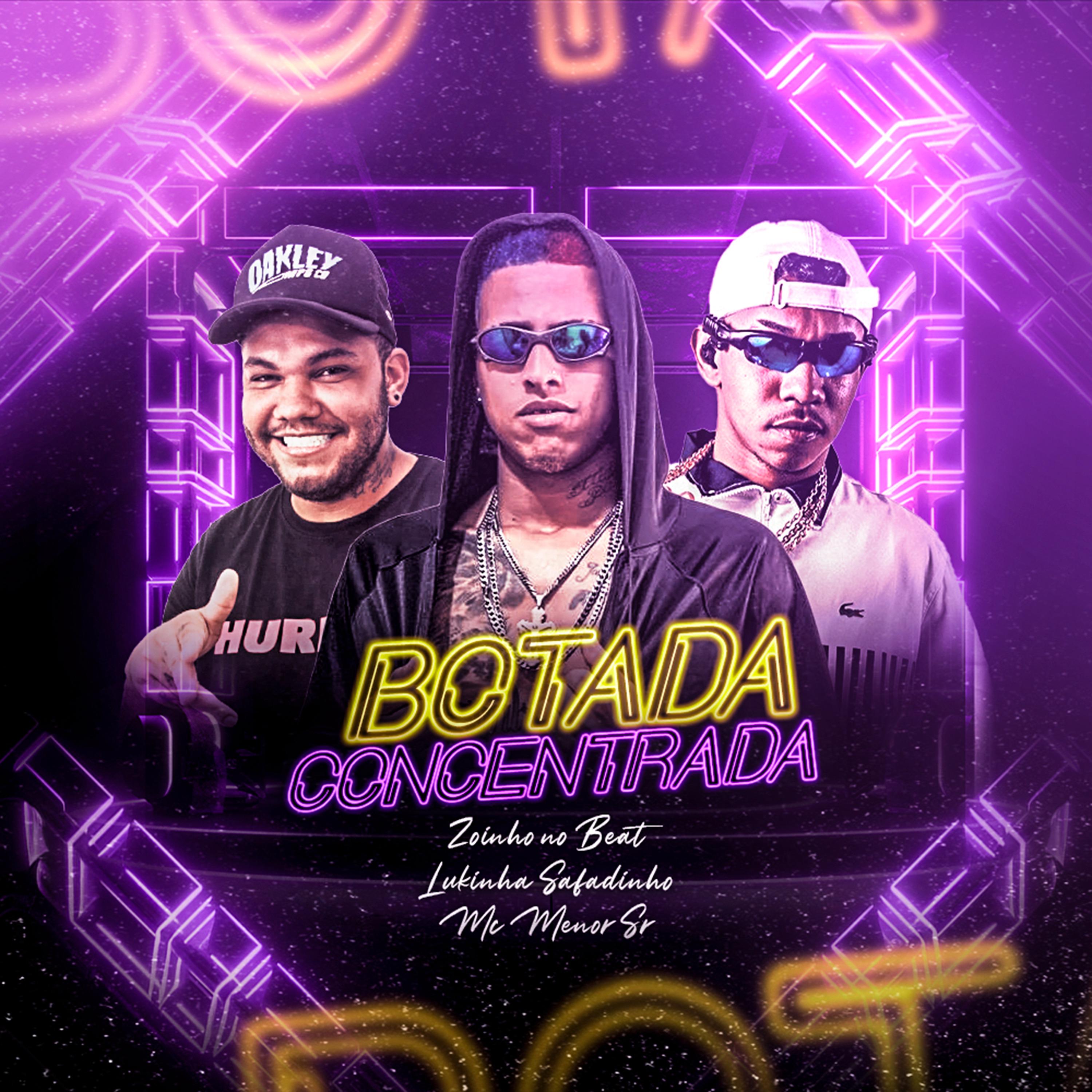 Постер альбома Botada Concentrada