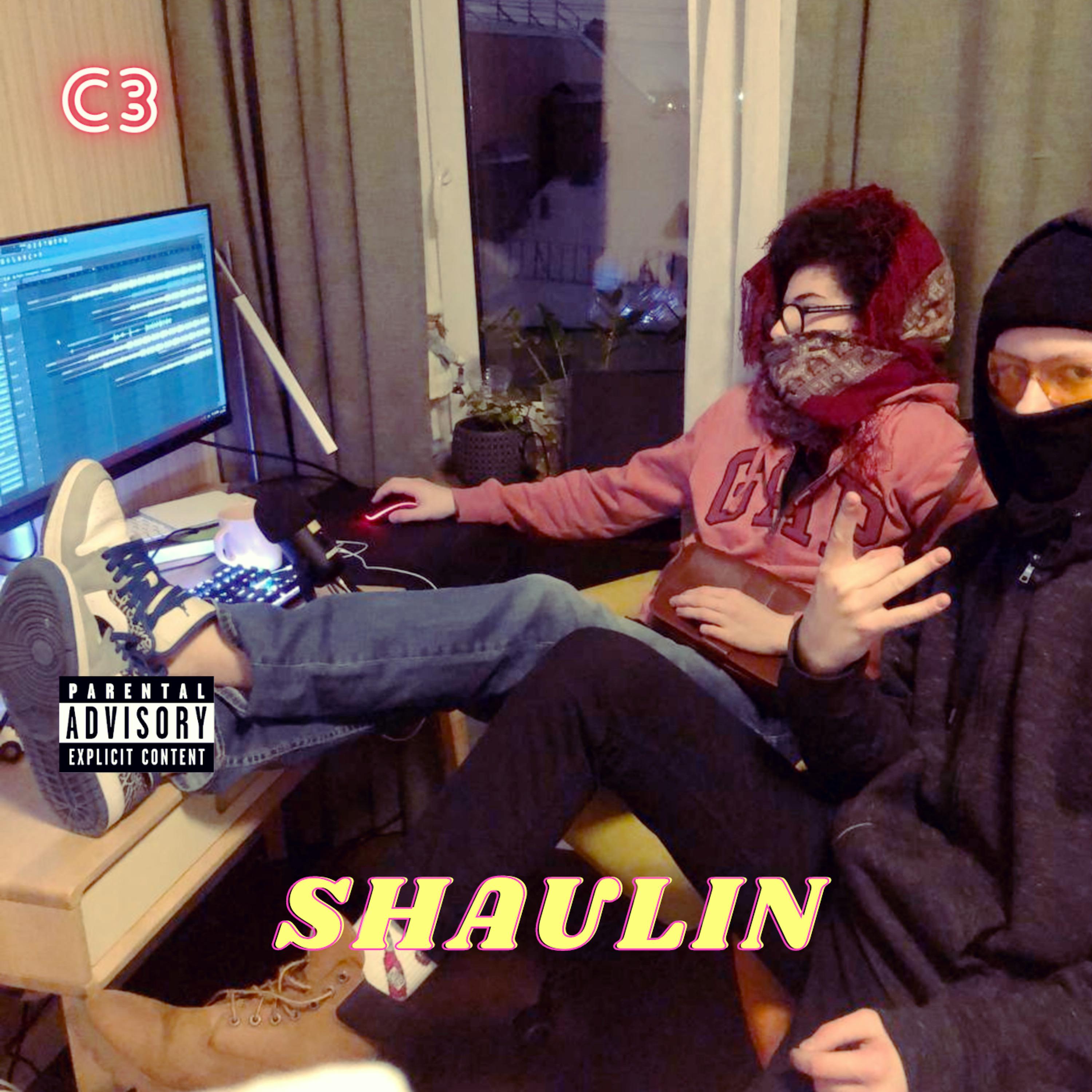 Постер альбома Shaulin (feat. ko$)