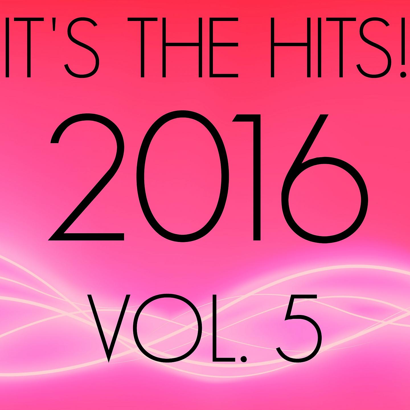 Постер альбома It's The Hits! 2016, Vol. 5