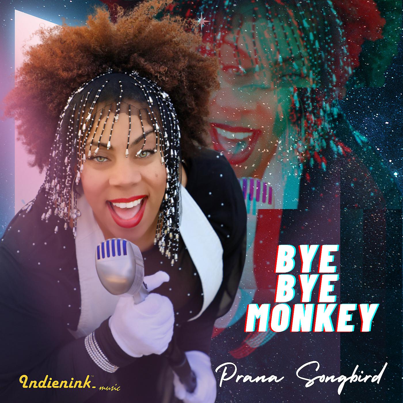 Постер альбома Bye Bye Monkey