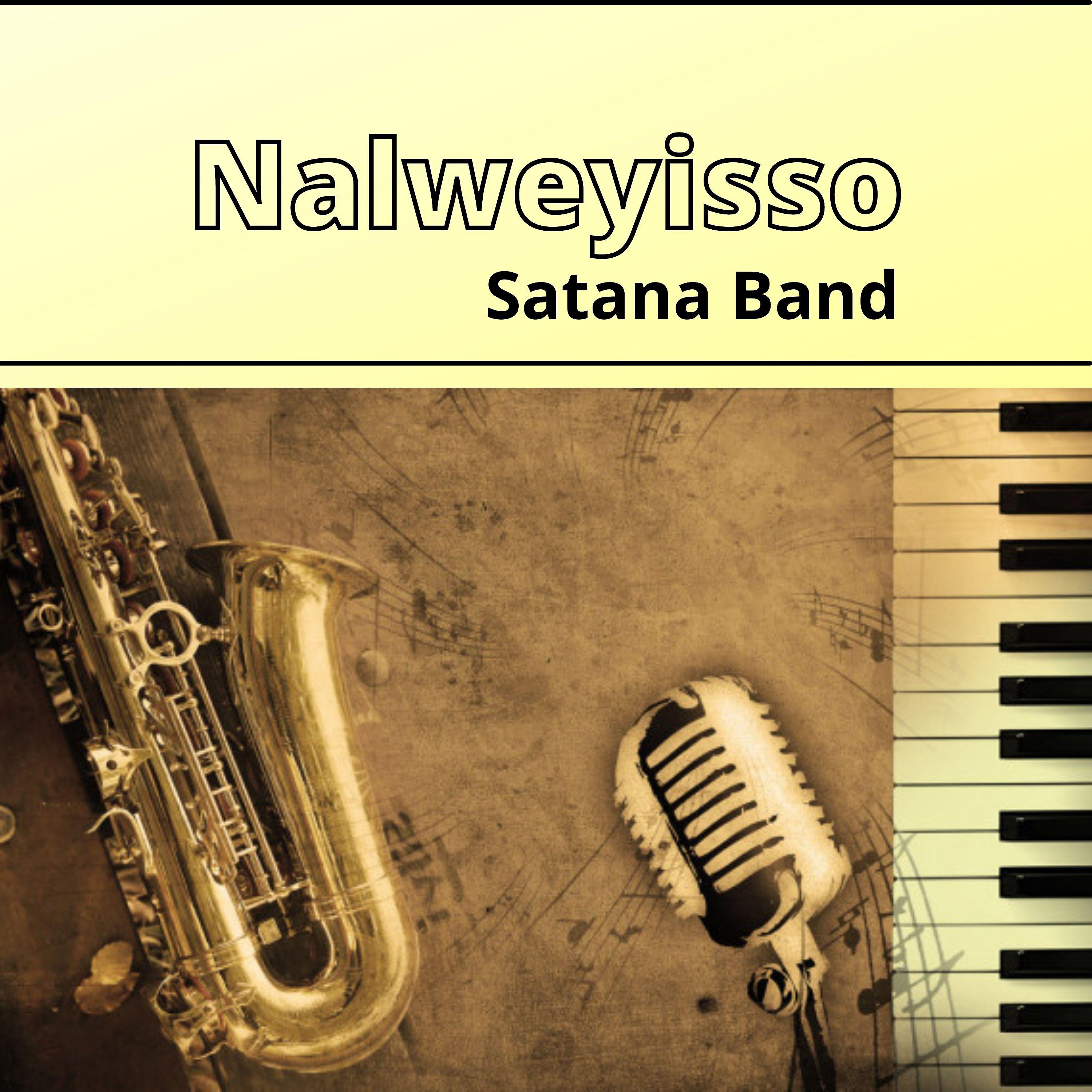 Постер альбома Nalweyisso