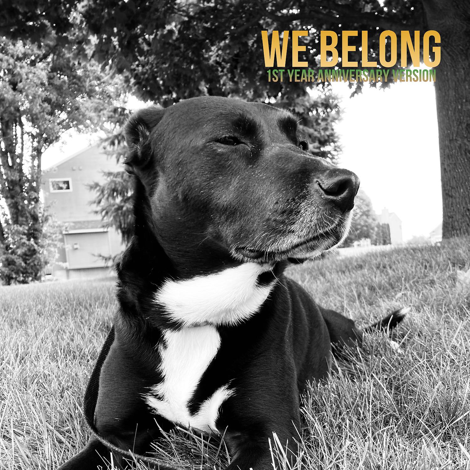 Постер альбома We Belong (1st Year Anniversary Version)