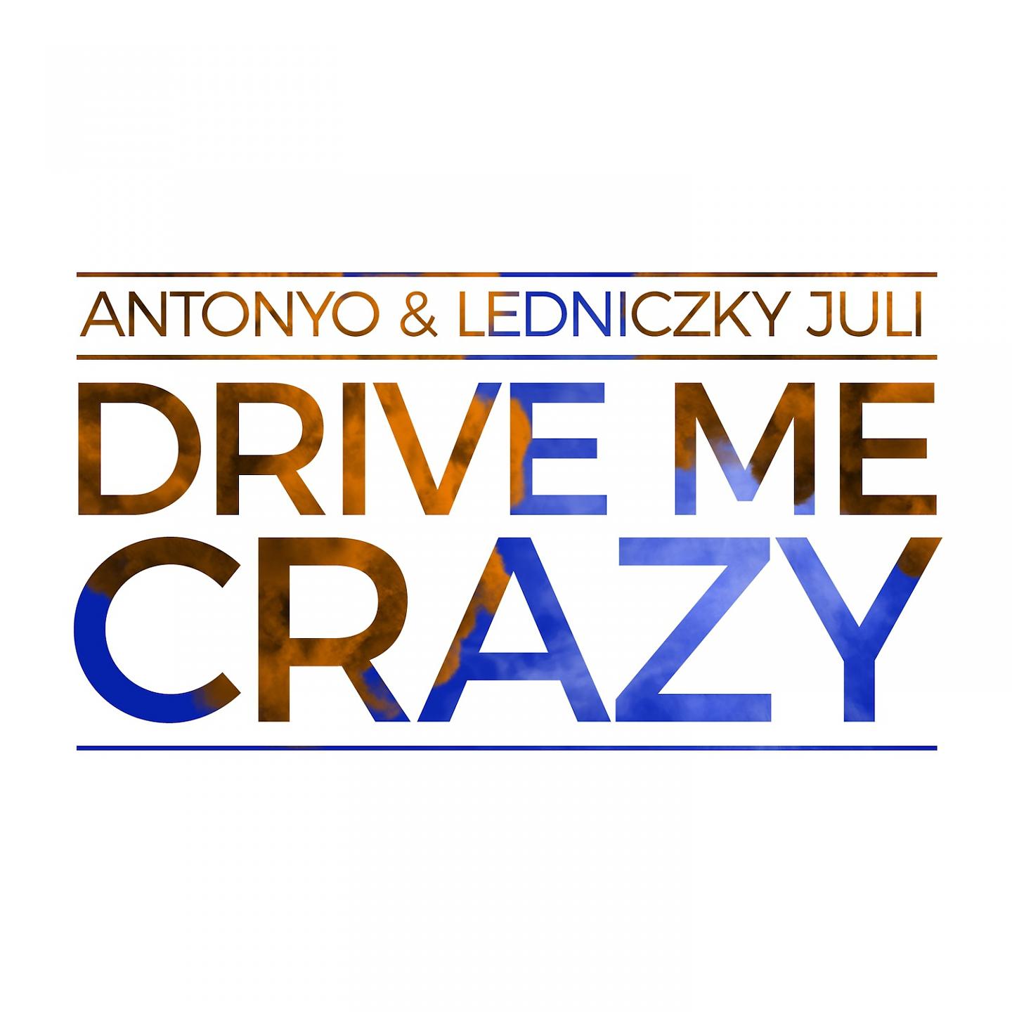Постер альбома Drive Me Crazy