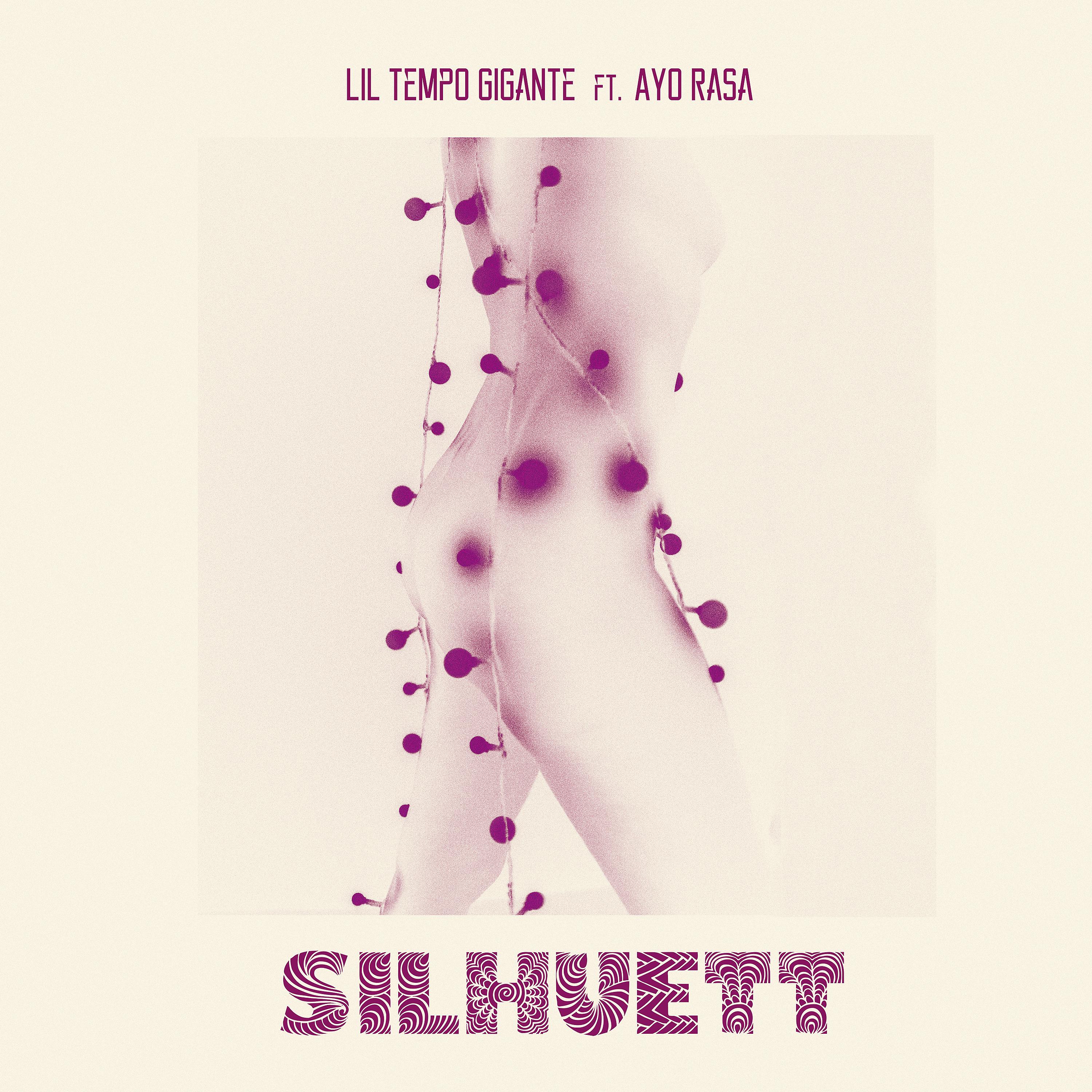 Постер альбома Silhuett
