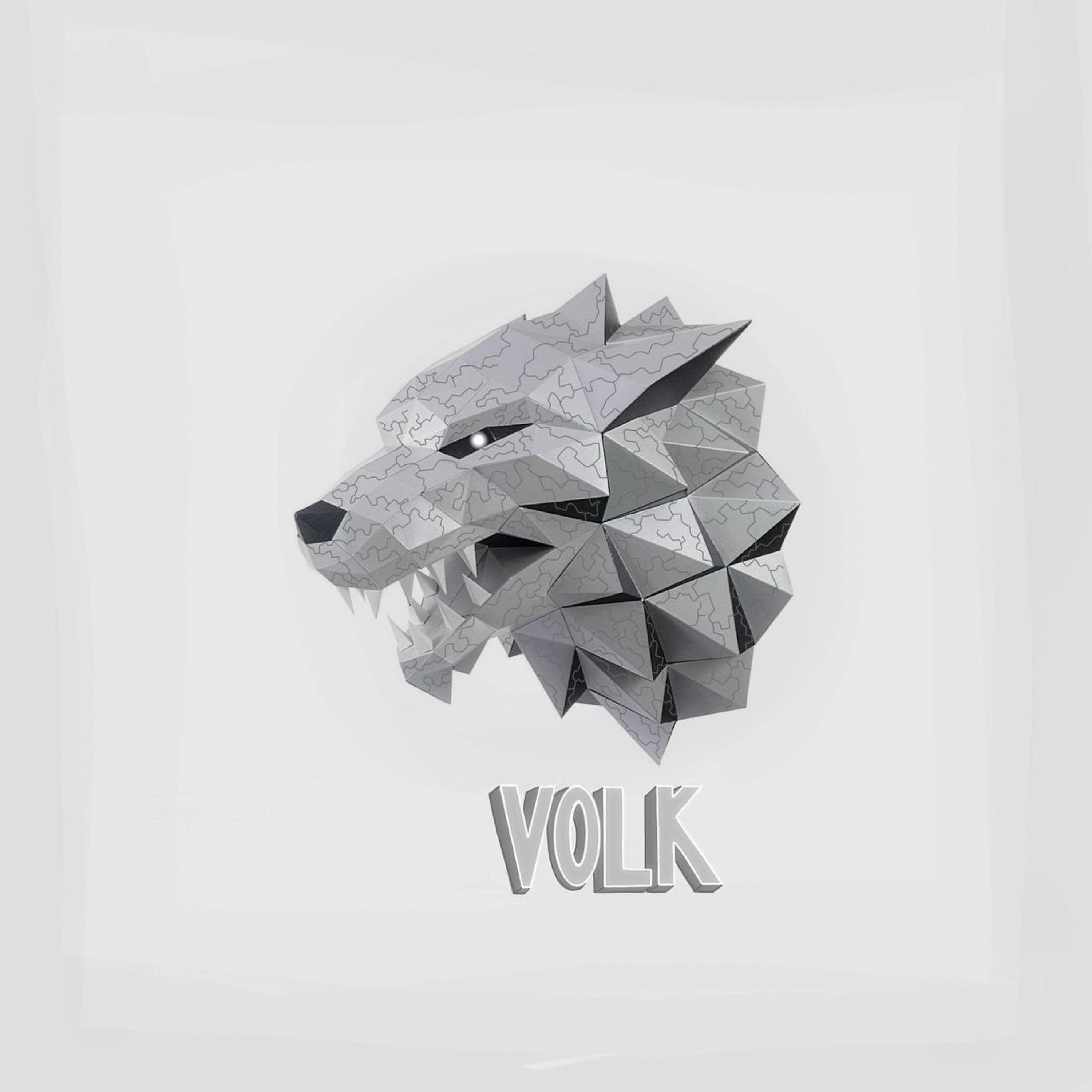 Постер альбома VOLK