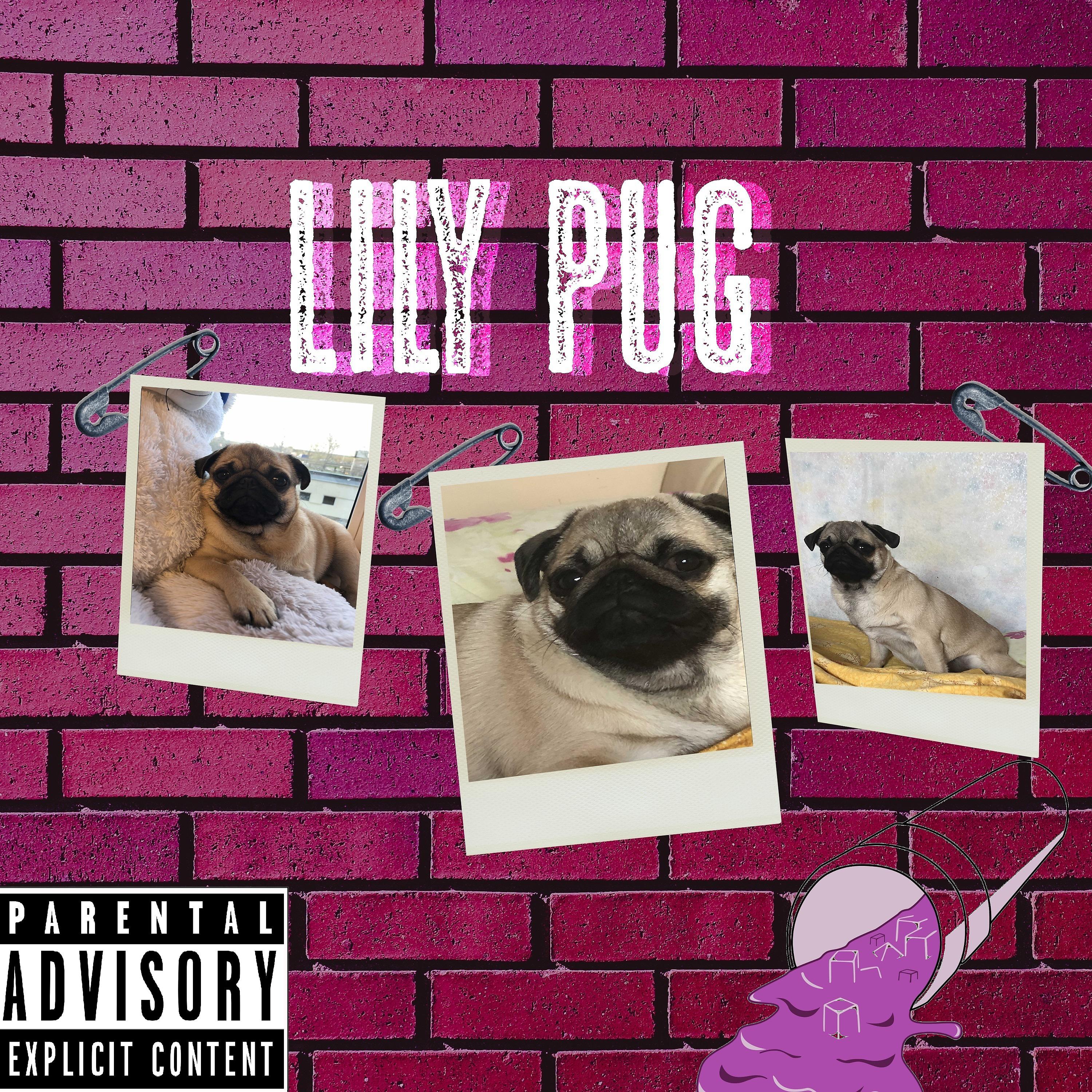 Постер альбома Lily Pug
