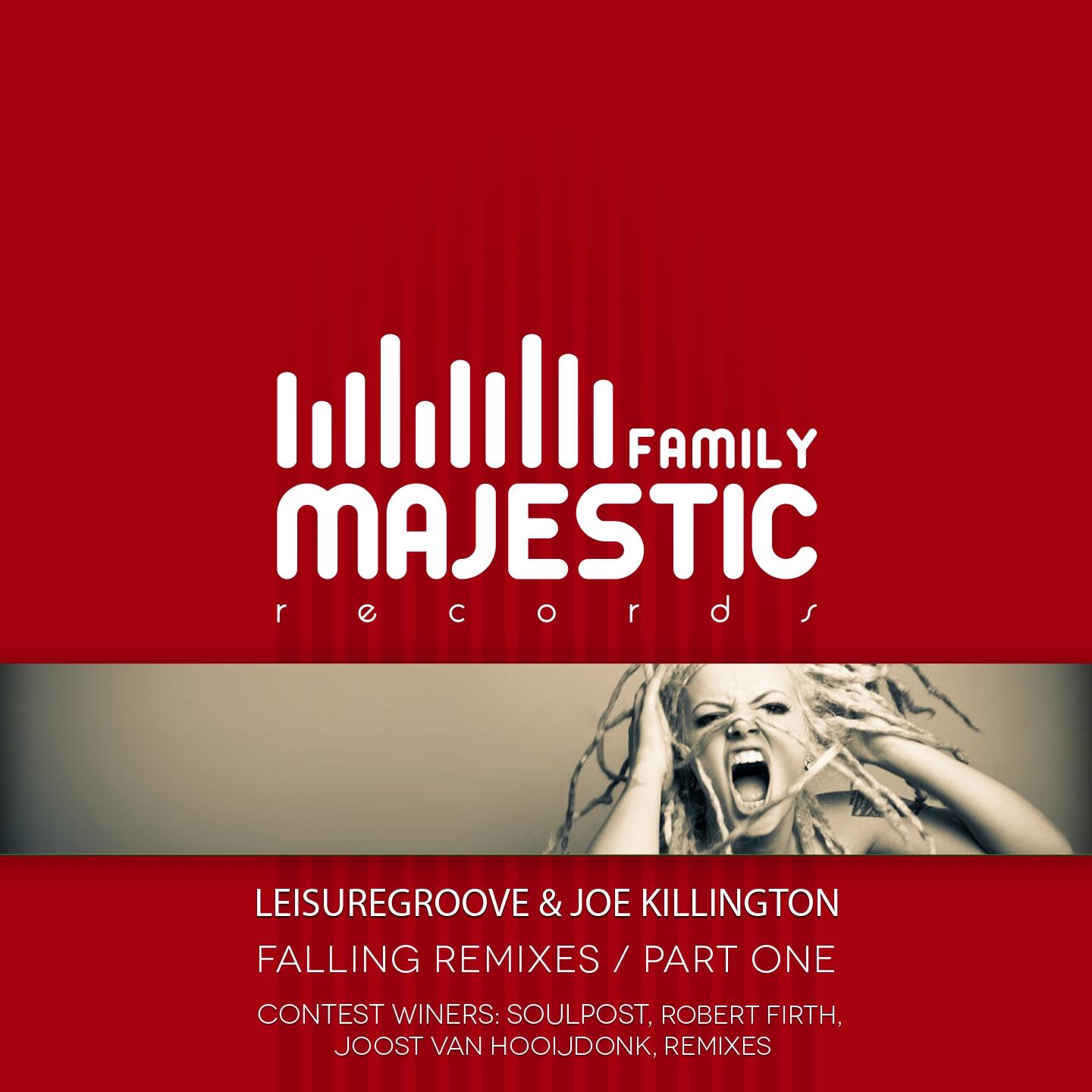 Постер альбома Falling Remixes