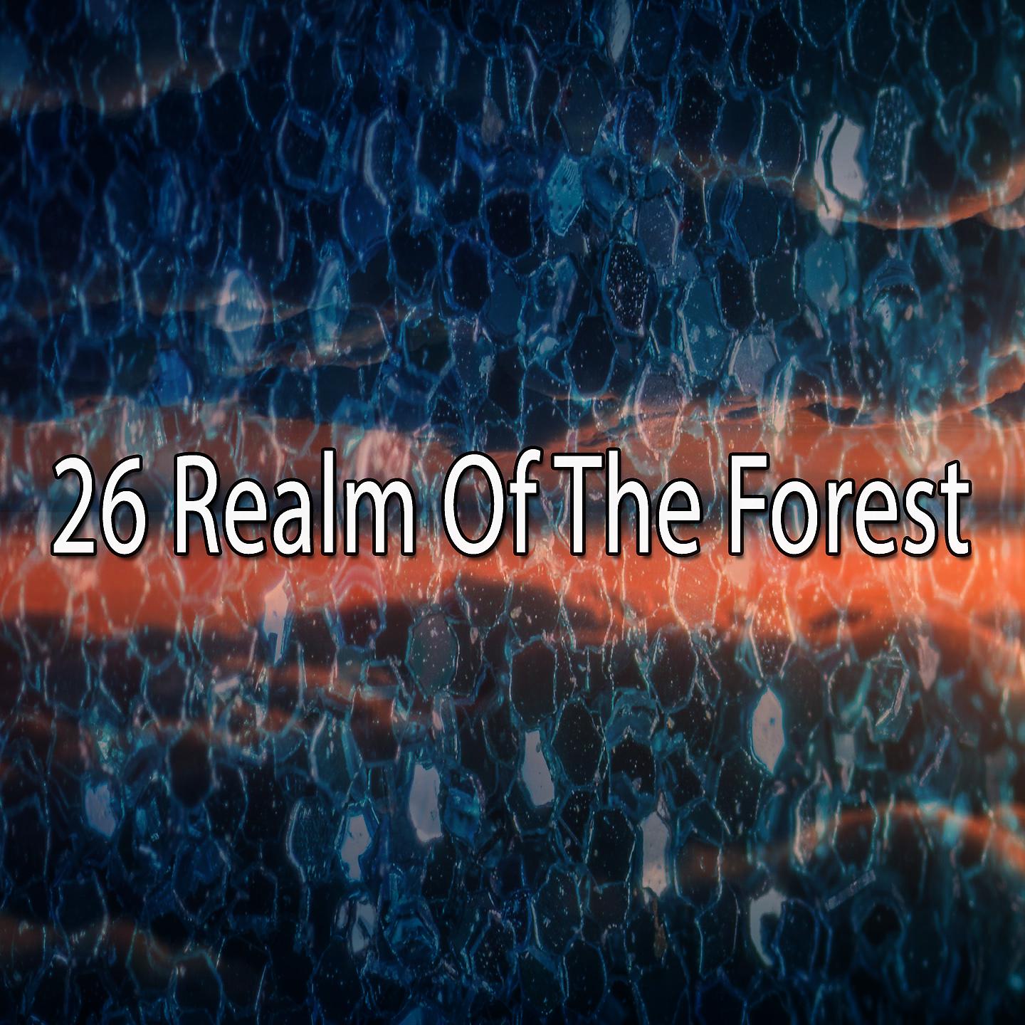 Постер альбома 26 Царство леса