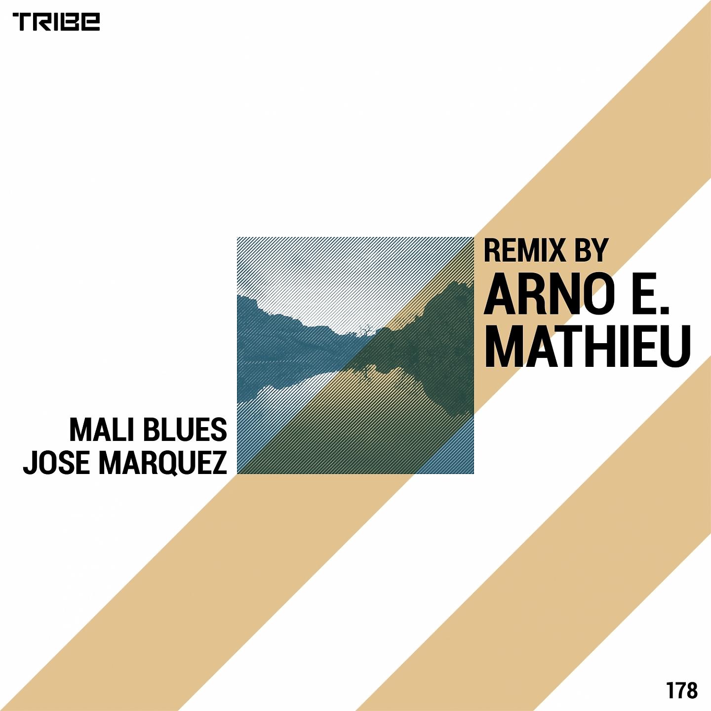 Постер альбома Mali Blues