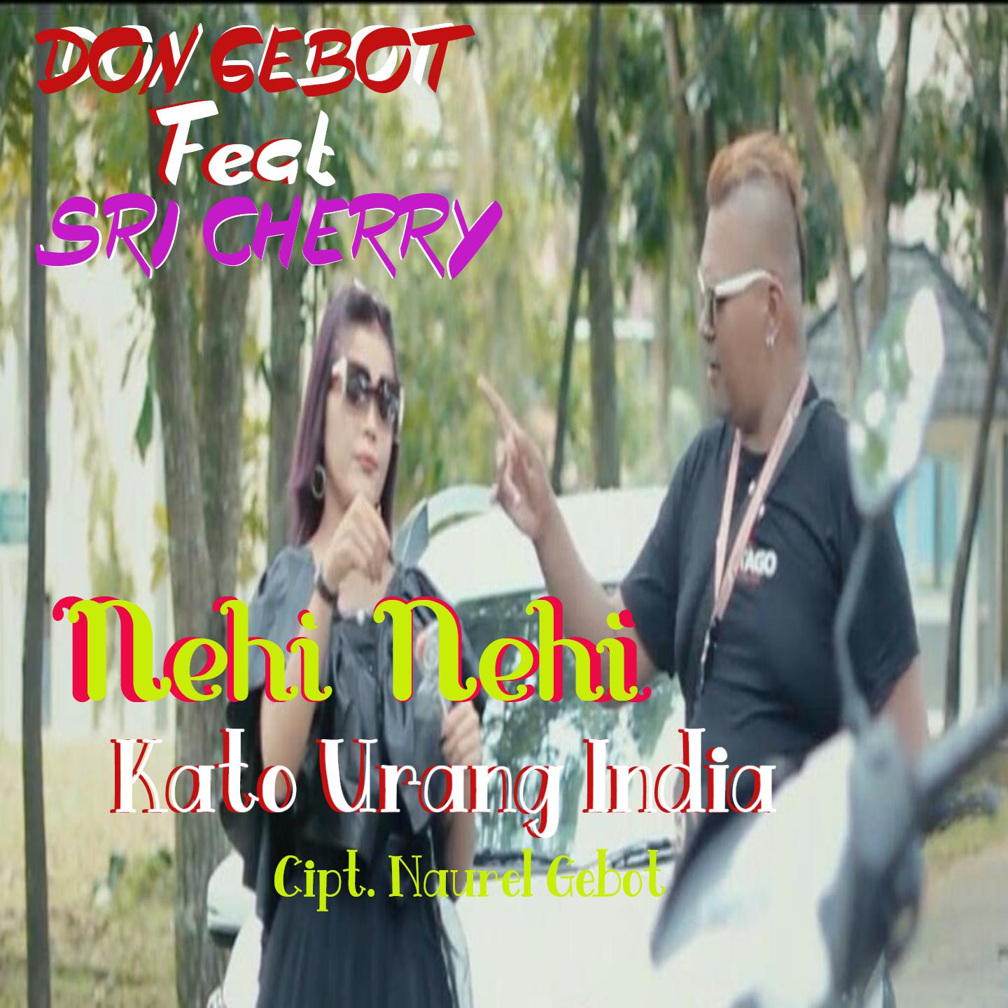Постер альбома Nehi Nehi Kato Urang India