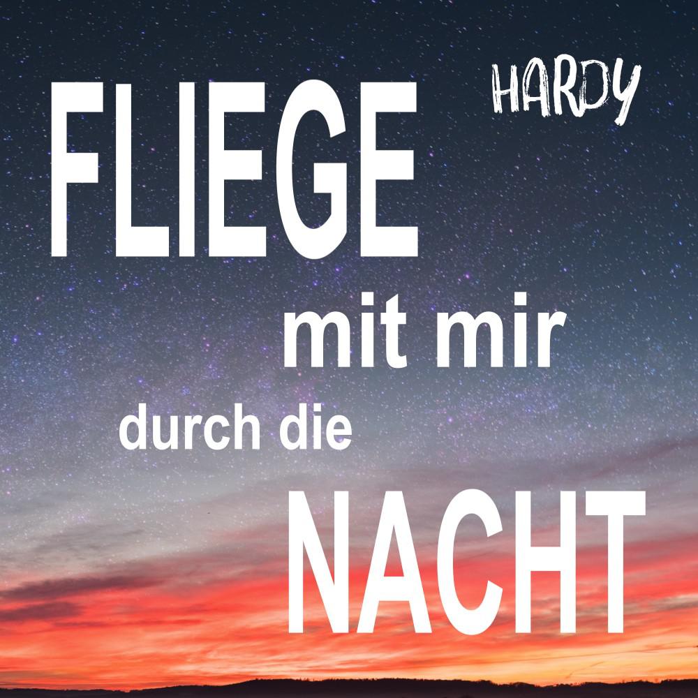 Постер альбома Fliege mit mir durch die Nacht