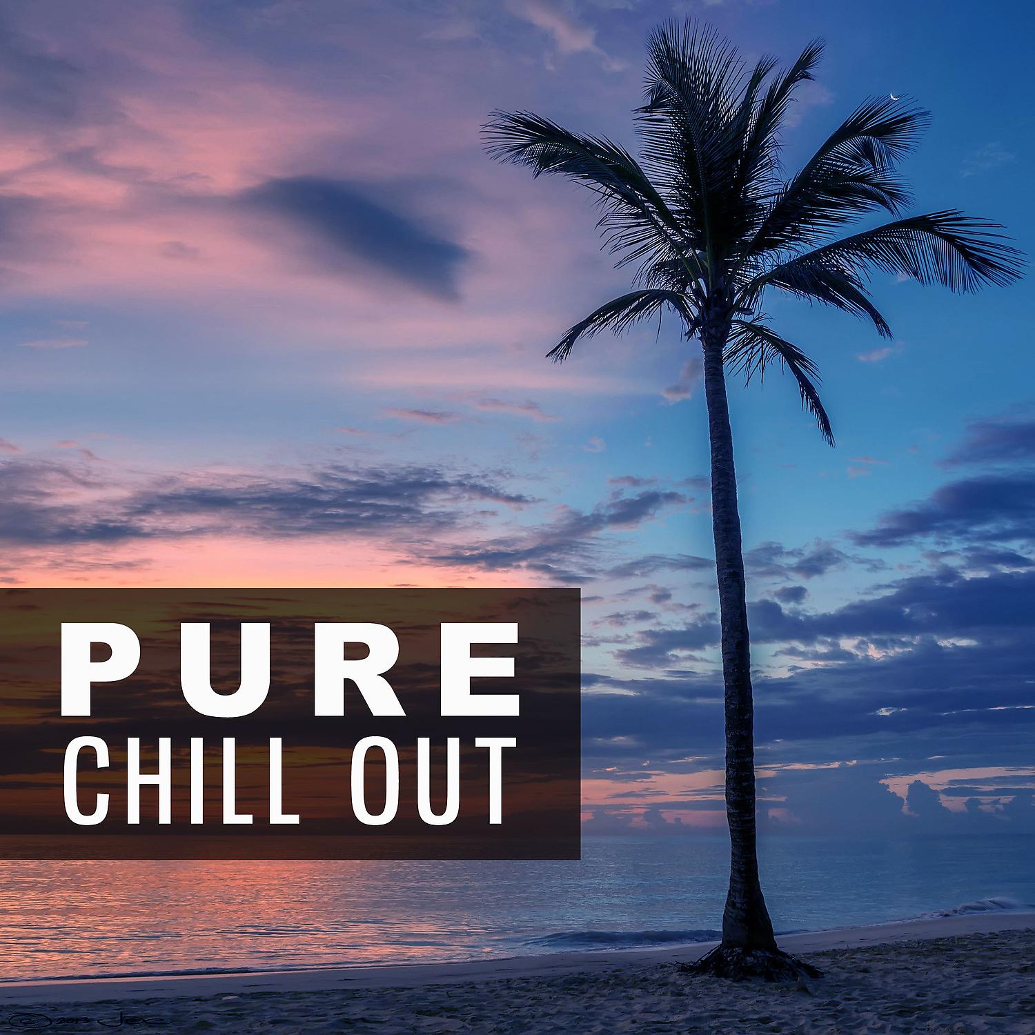 Постер альбома Pure Chill Out – Ambient Lounge Music, Chill Out Dreams, Summer Chill, Deep Lounge Tunes, Chillout Hits