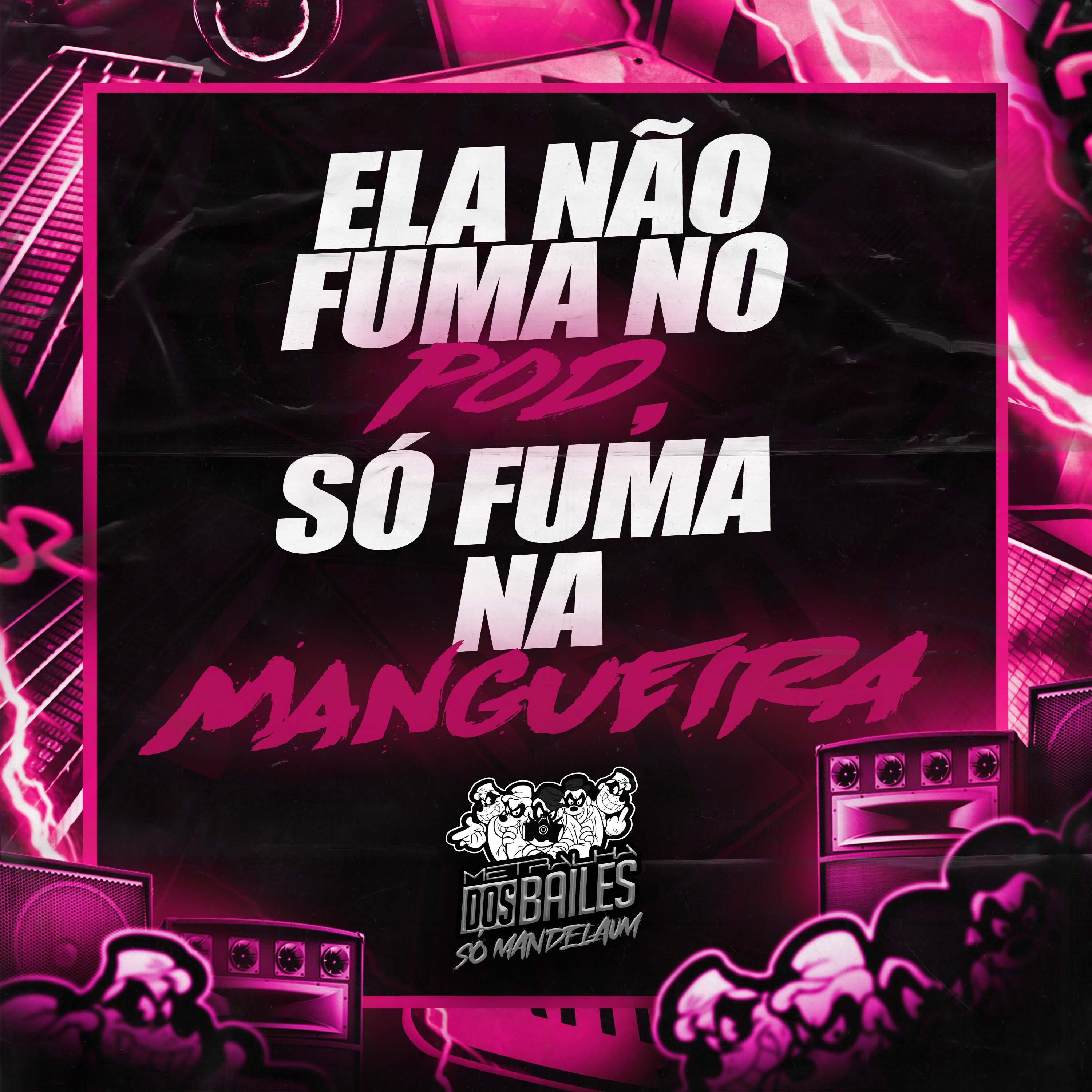 Постер альбома Ela Não Fuma no Pod, Só Fuma na Mangueira