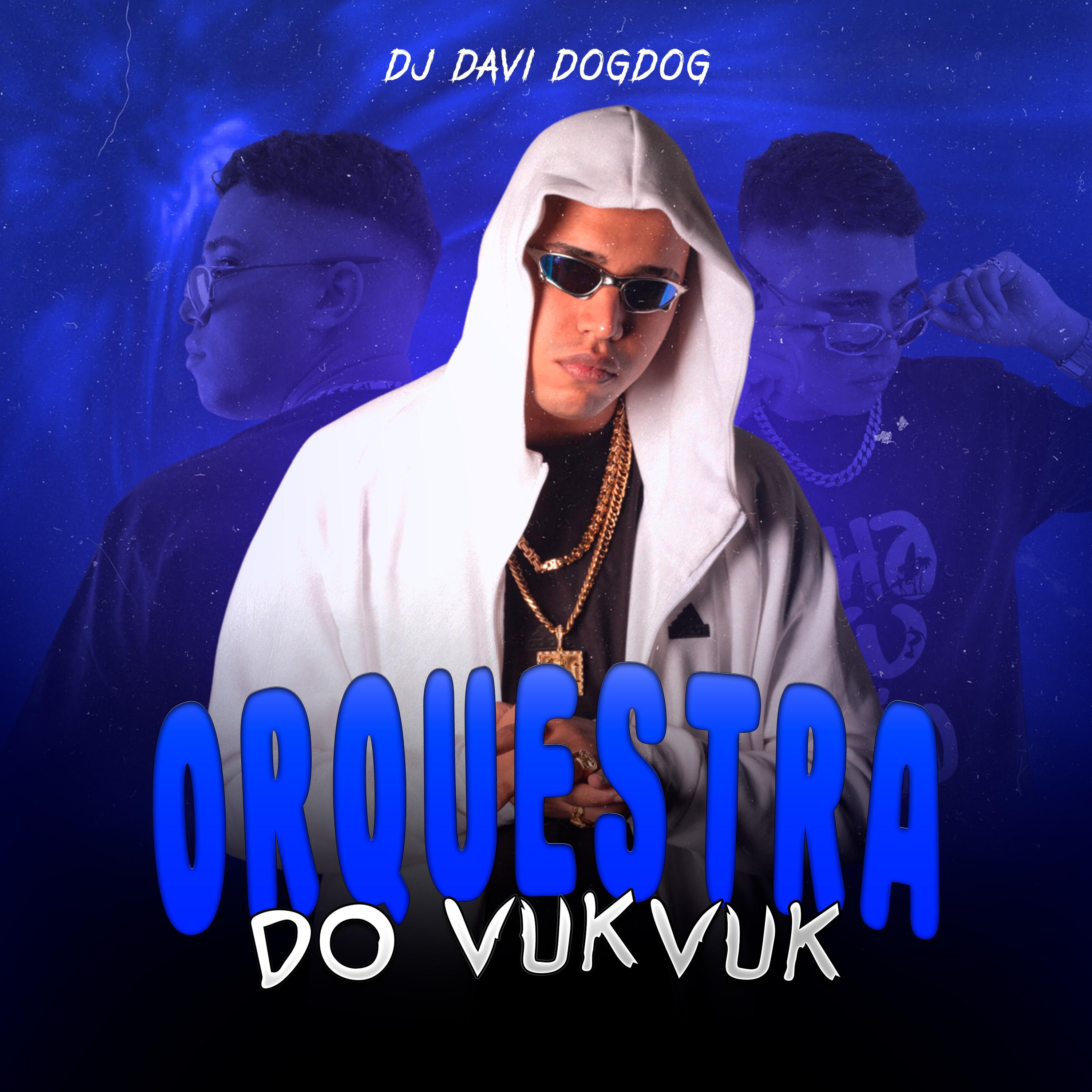 Постер альбома Orquestra do Vukvuk