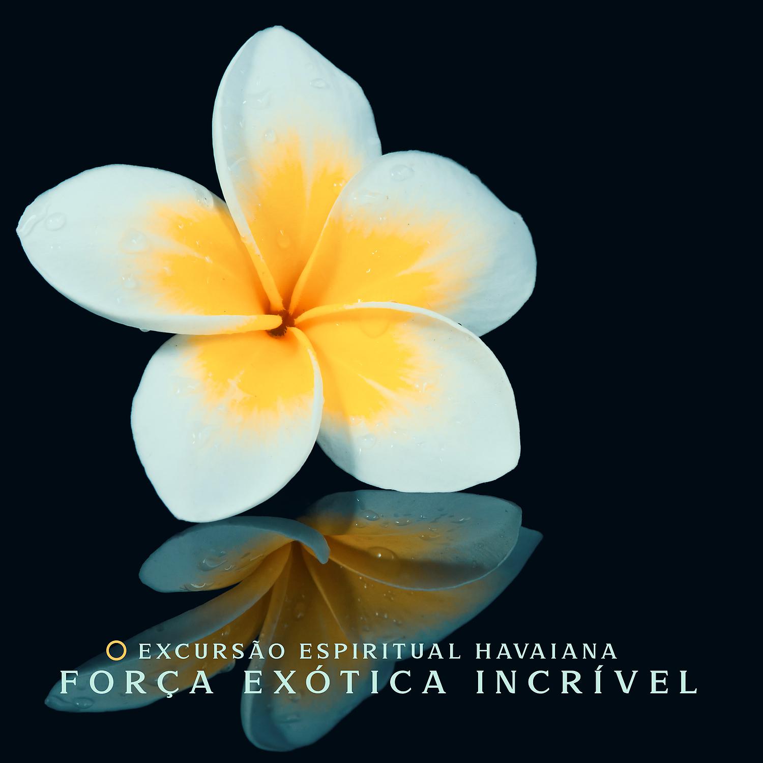 Постер альбома Excursão Espiritual Havaiana - Força Exótica Incrível: Natureza Calmante, Yoga, Serenidade e Relaxamento