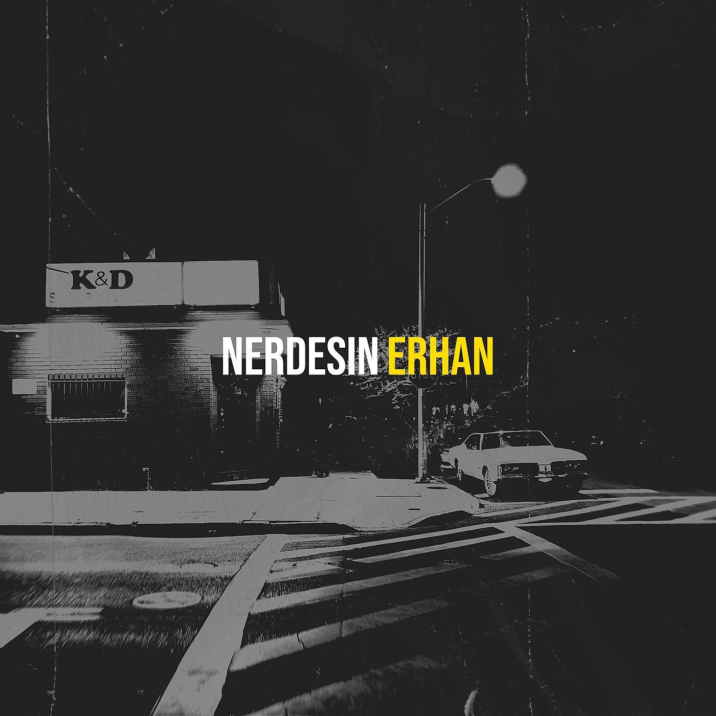 Постер альбома Nerdesin