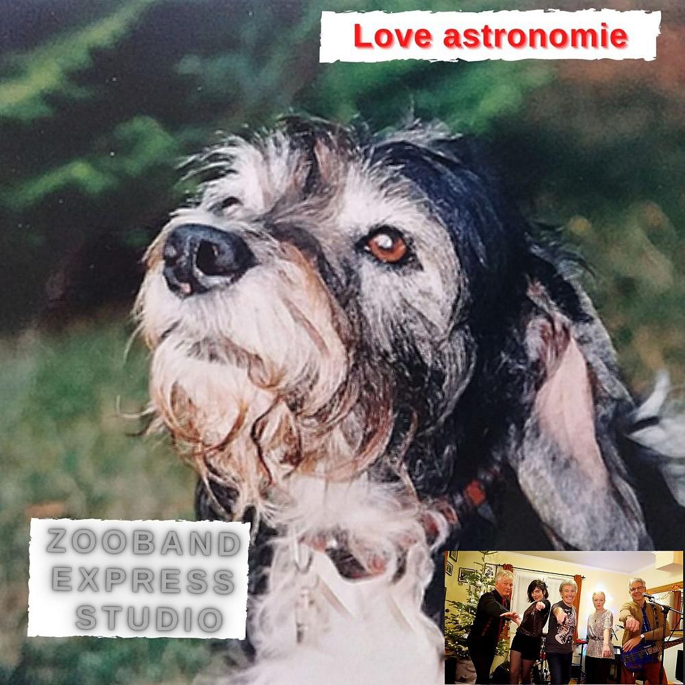 Постер альбома Love Astronomie