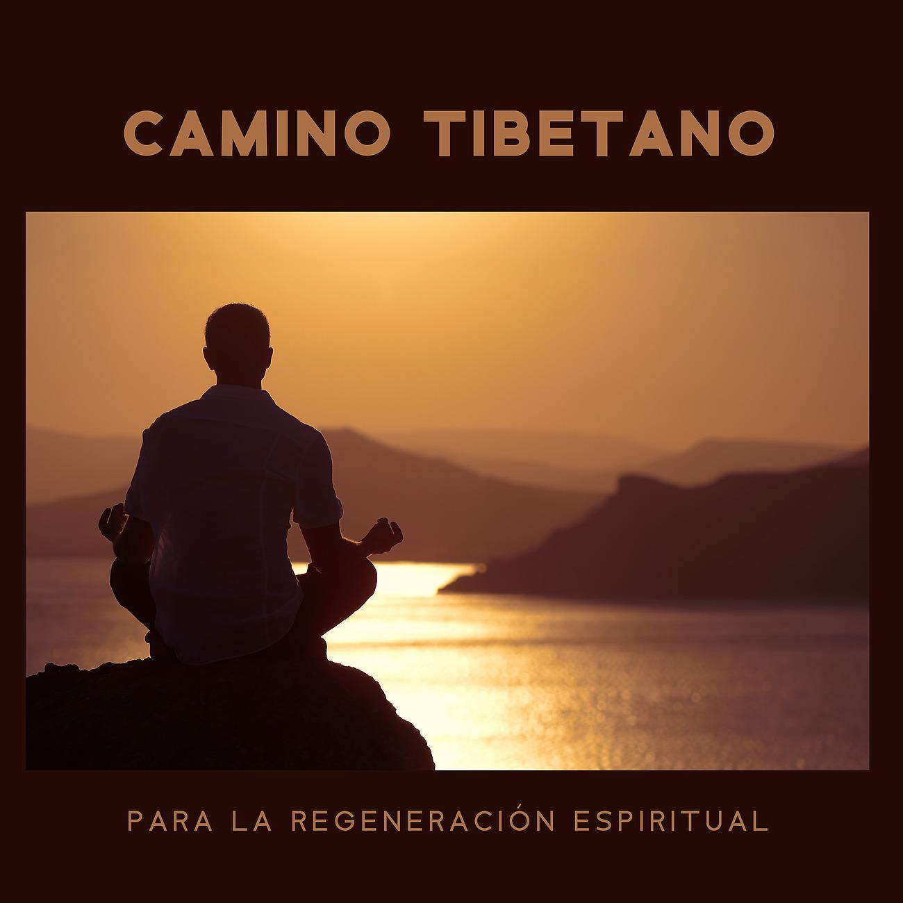 Постер альбома Camino Tibetano para la Regeneración Espiritual