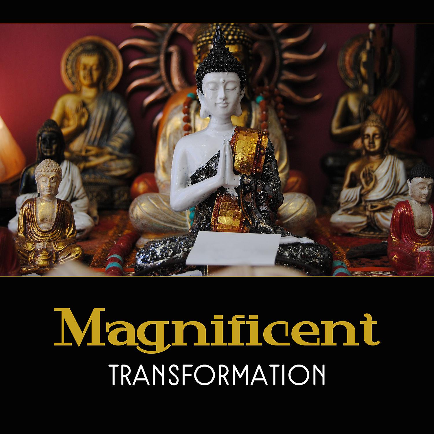 Постер альбома Magnificent Transformation – Buddhism for Beginners, Immediately Stress Relief, Peace with Zen, 50 Qualities of Awareness