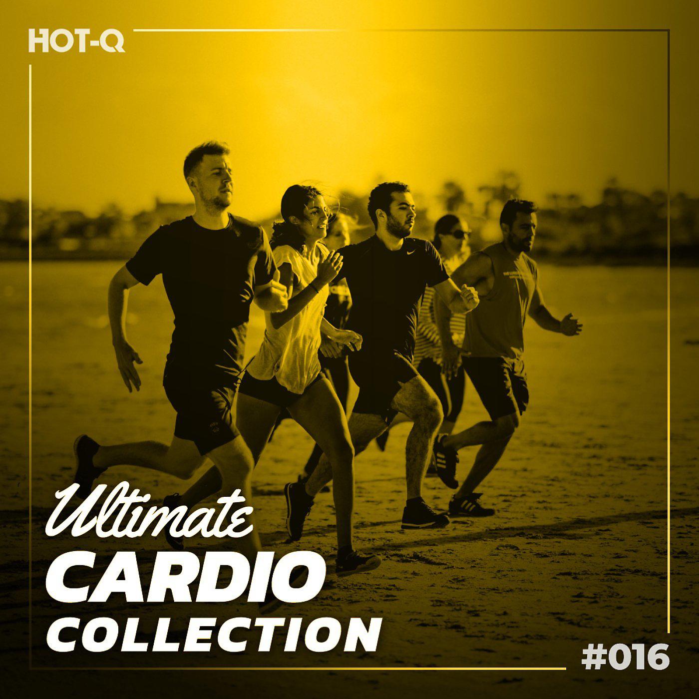 Постер альбома Ultimate Cardio Collection 016