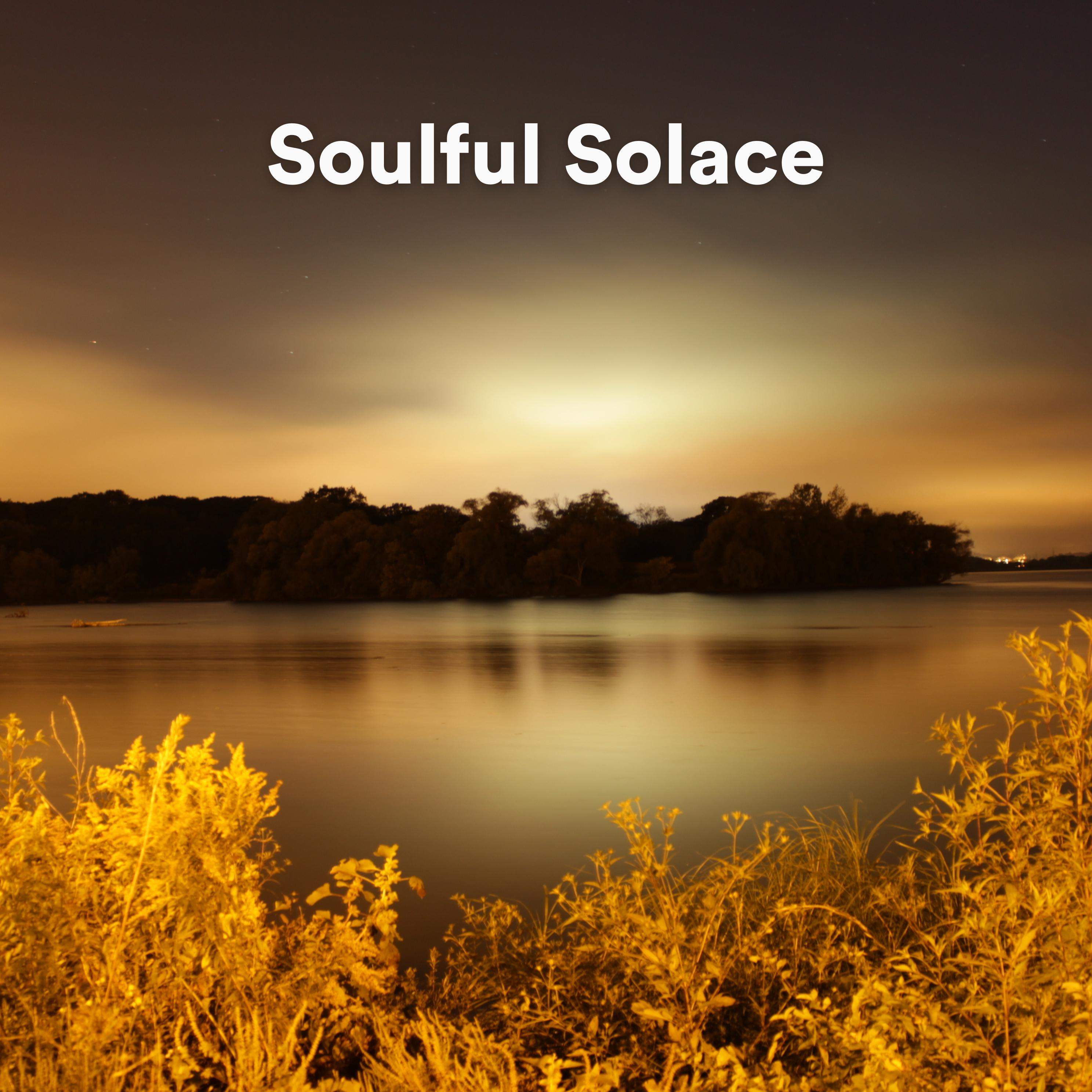 Постер альбома Soulful Solace