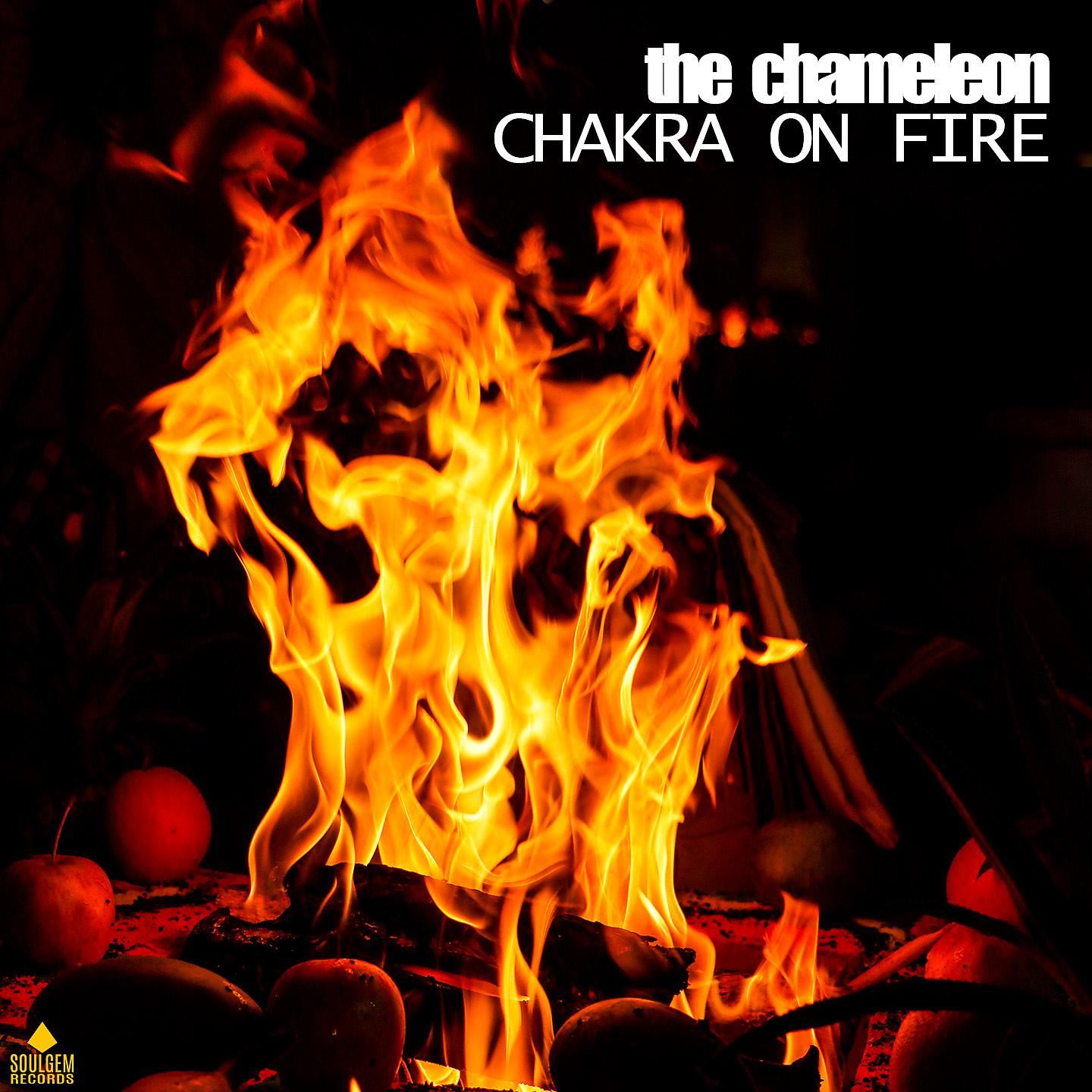Постер альбома Chakra on Fire
