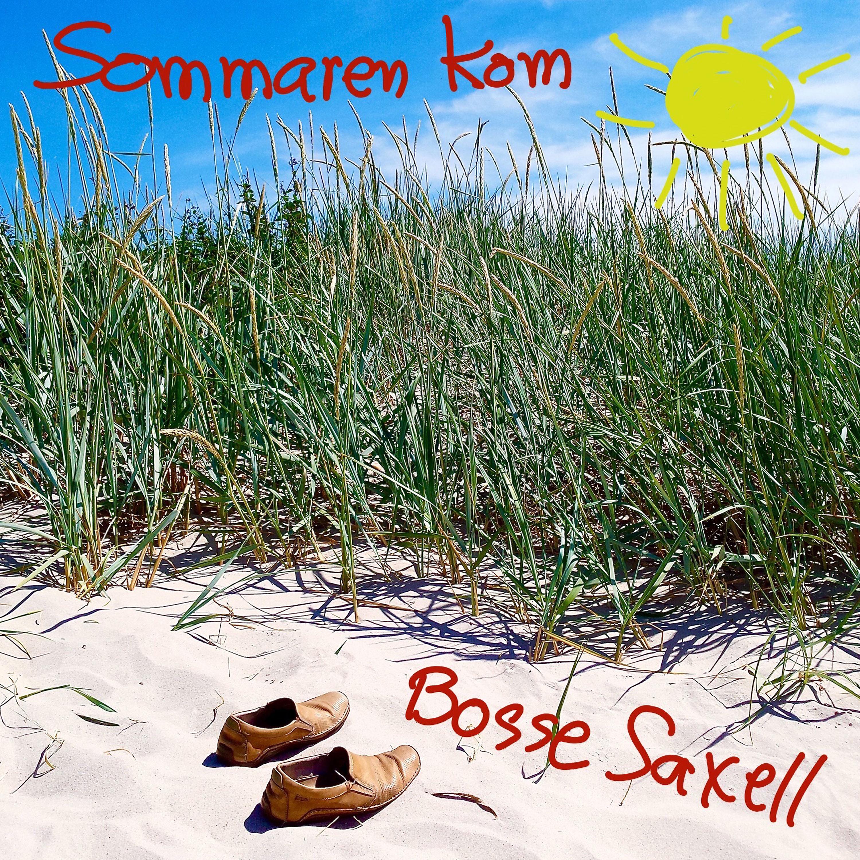 Постер альбома Sommaren kom