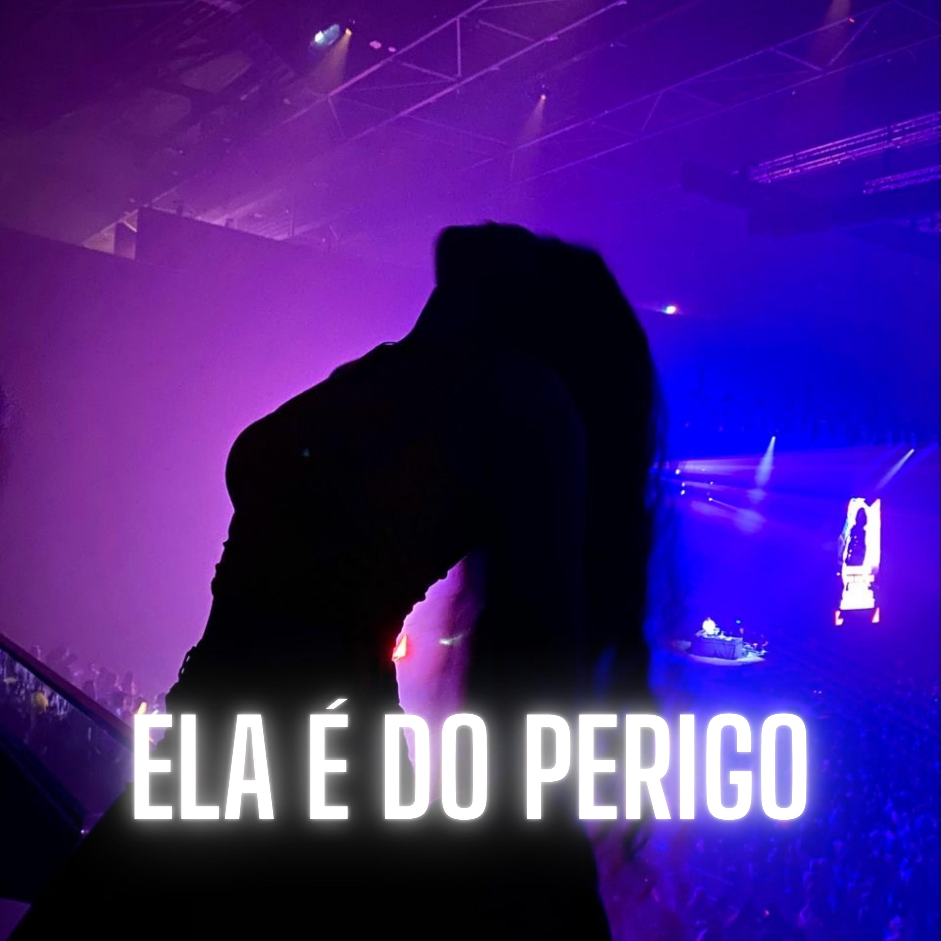 Постер альбома Ela É do Perigo