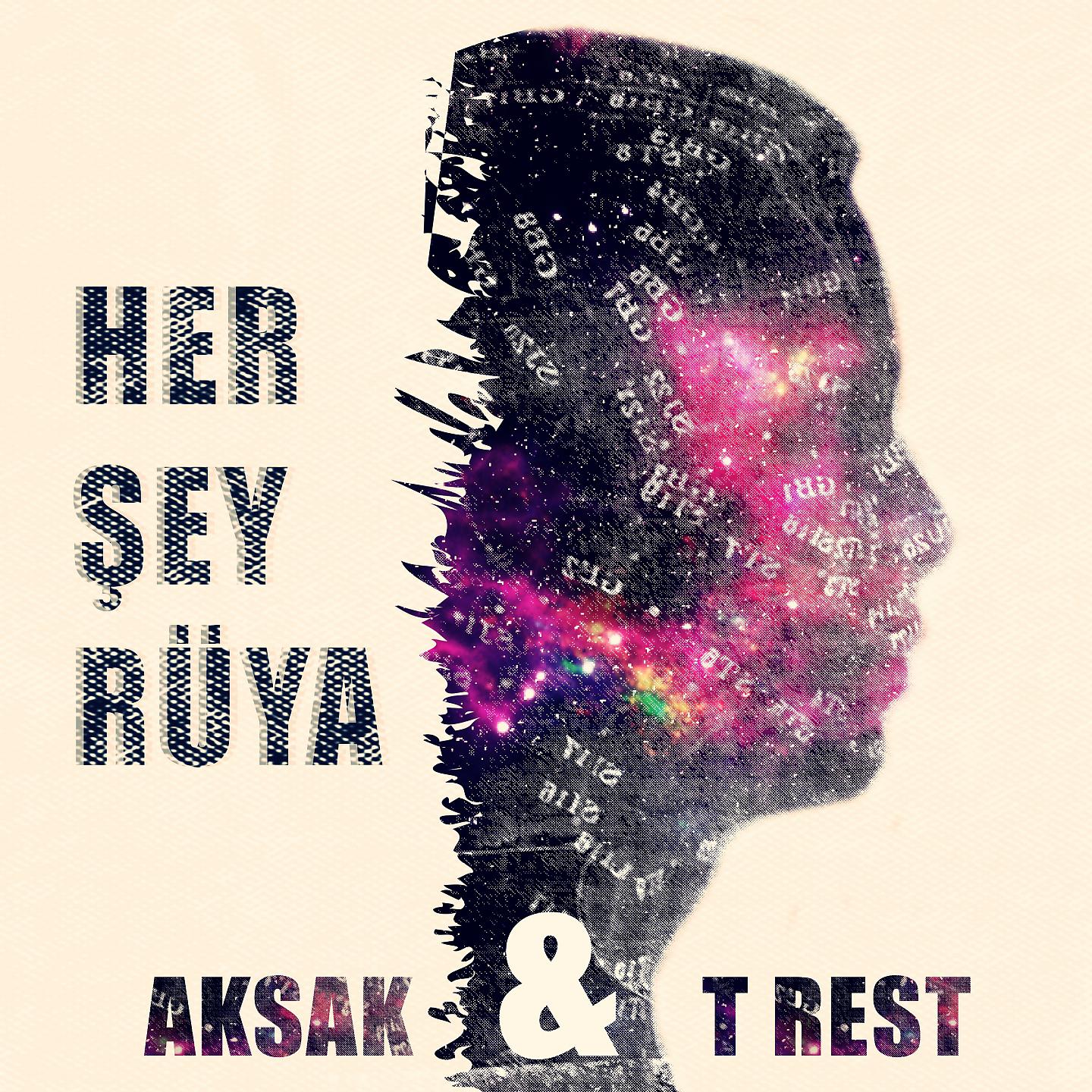 Постер альбома Her Şey Rüya