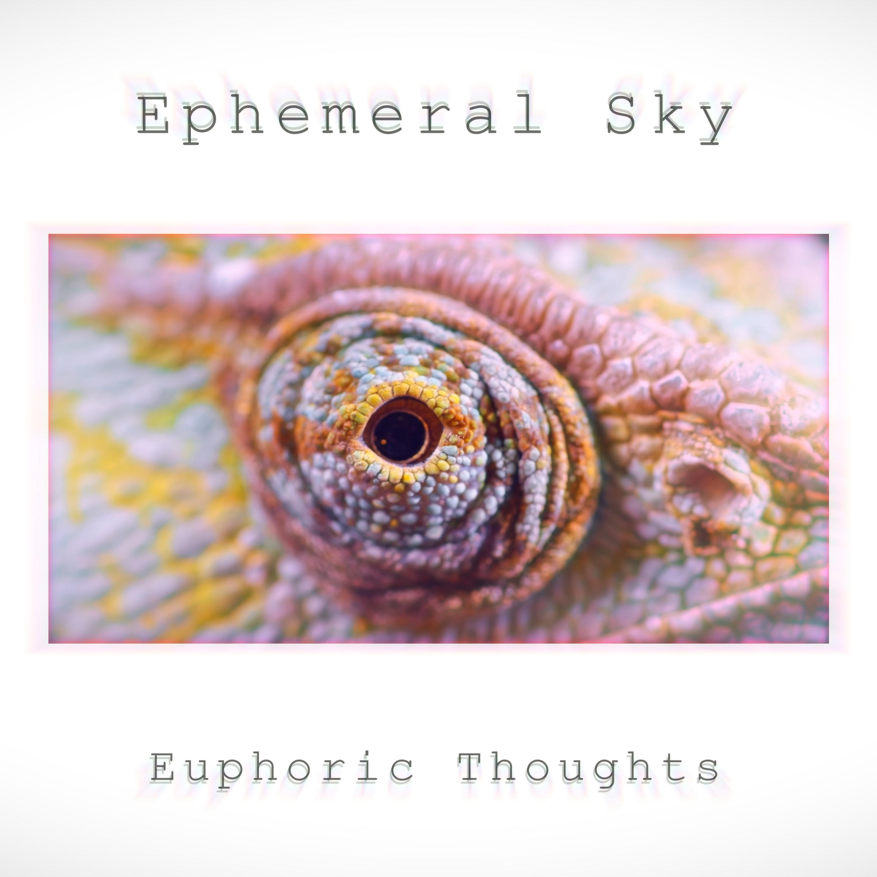 Постер альбома Euphoric Thoughts
