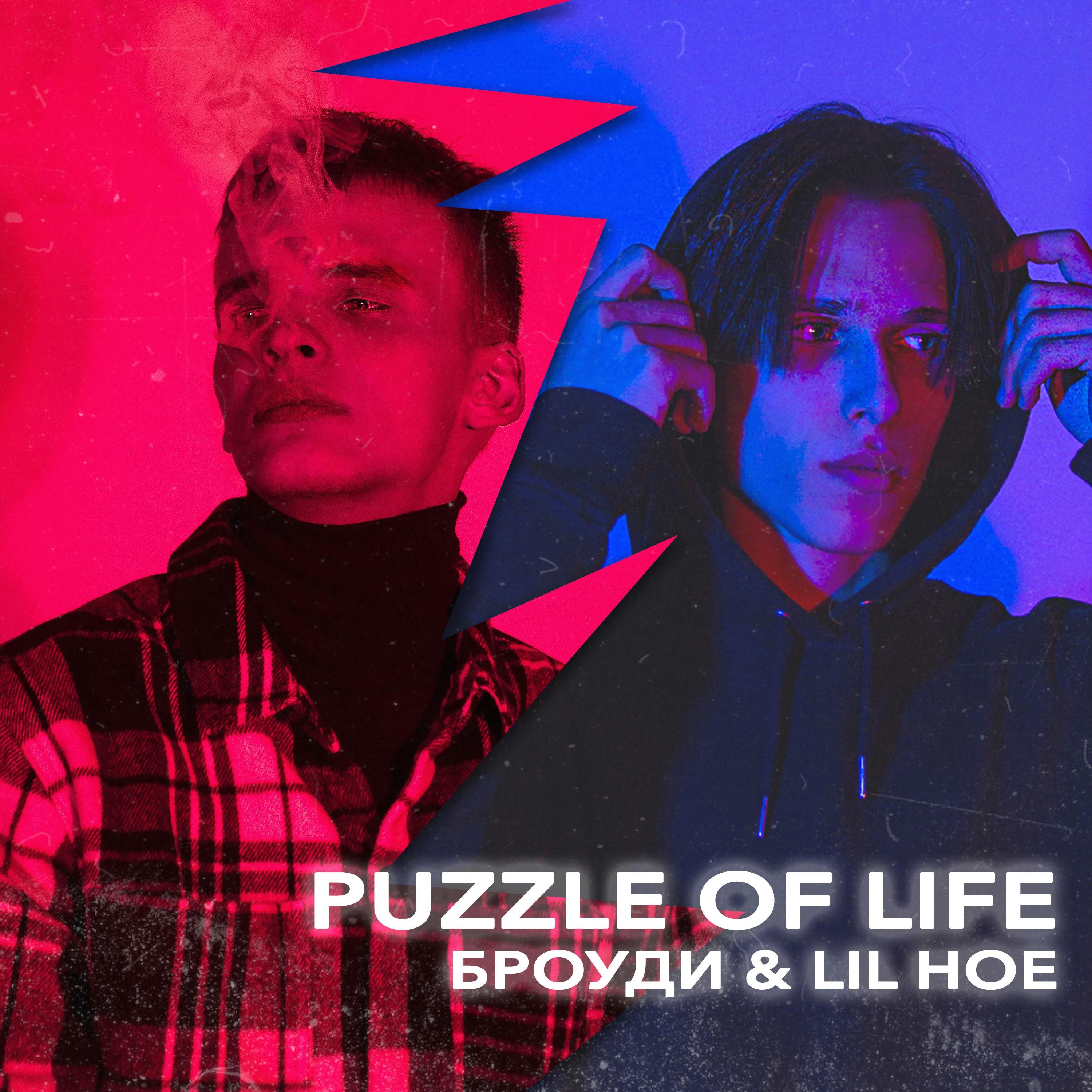 Постер альбома PUZZLE OF LIFE