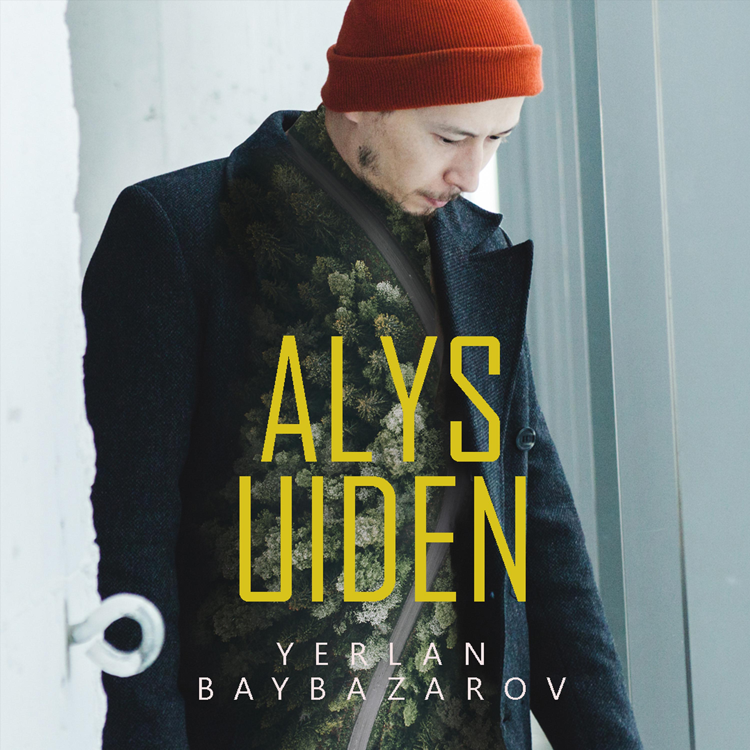 Постер альбома Alys uiden