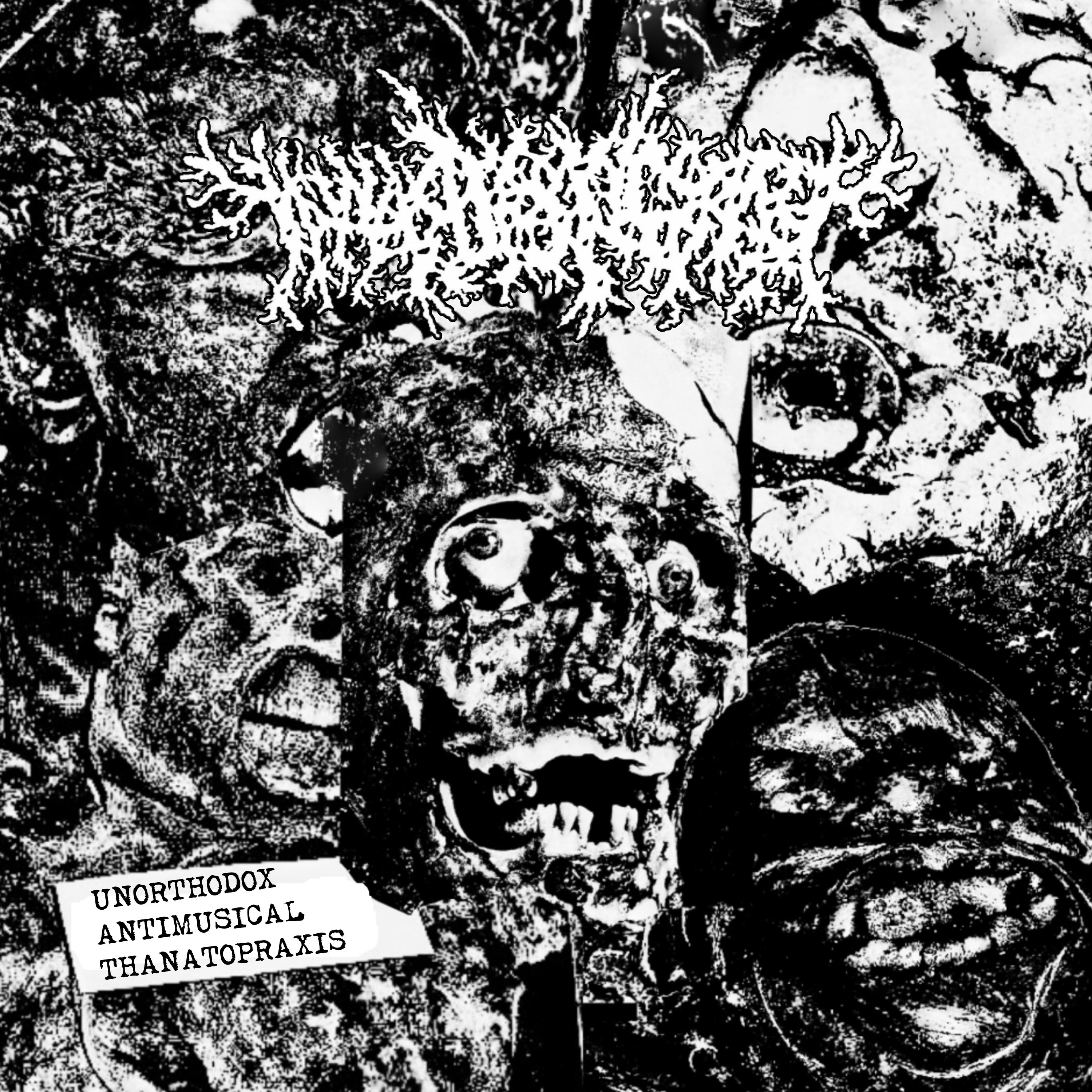 Постер альбома Unorthodox Antimusical Thanatopraxis