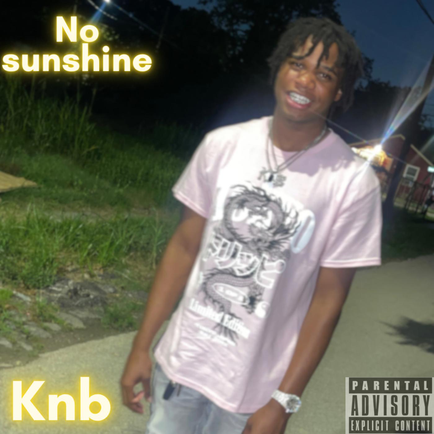 Постер альбома No Sunshine