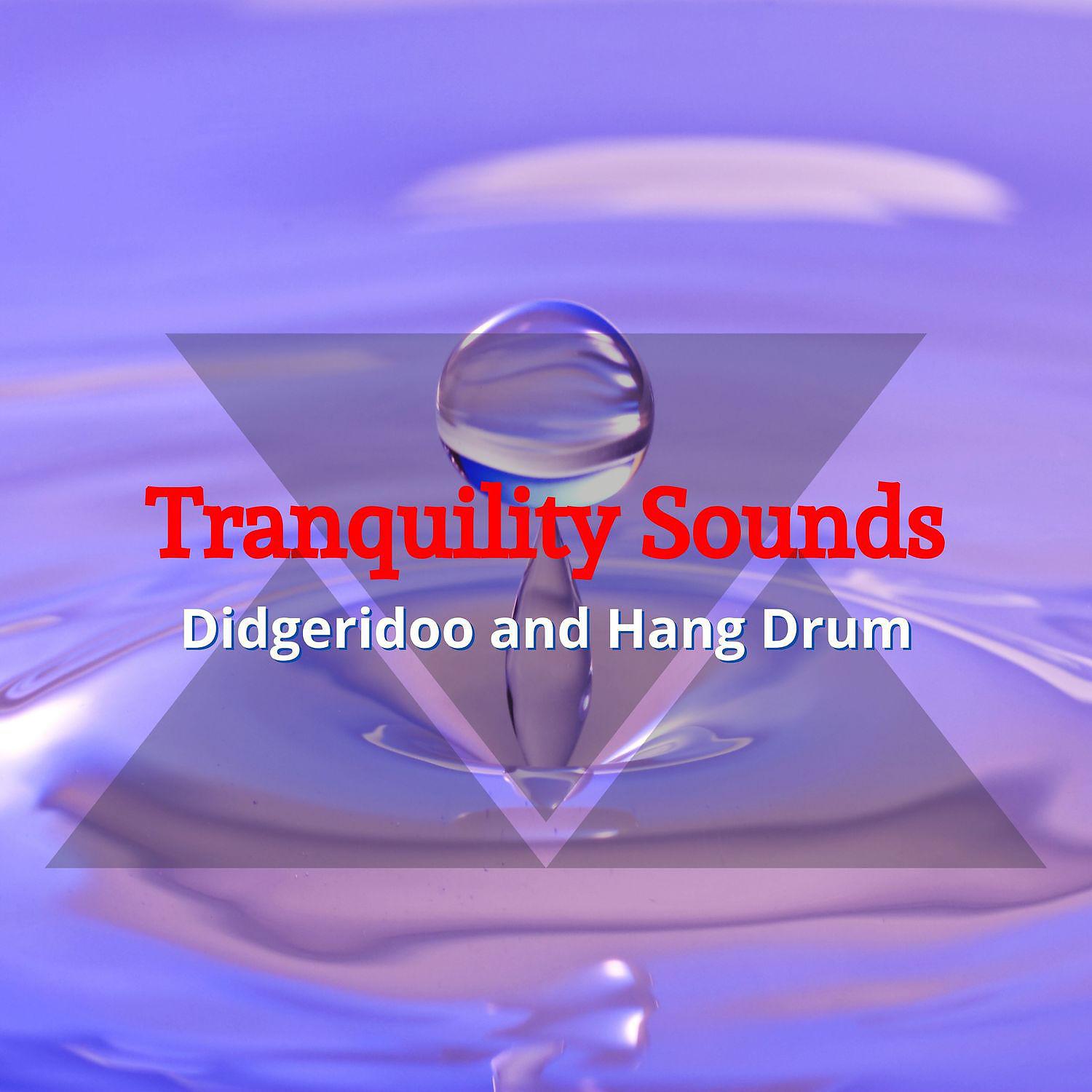 Постер альбома Tranquility Sounds of Didgeridoo and Hang Drum