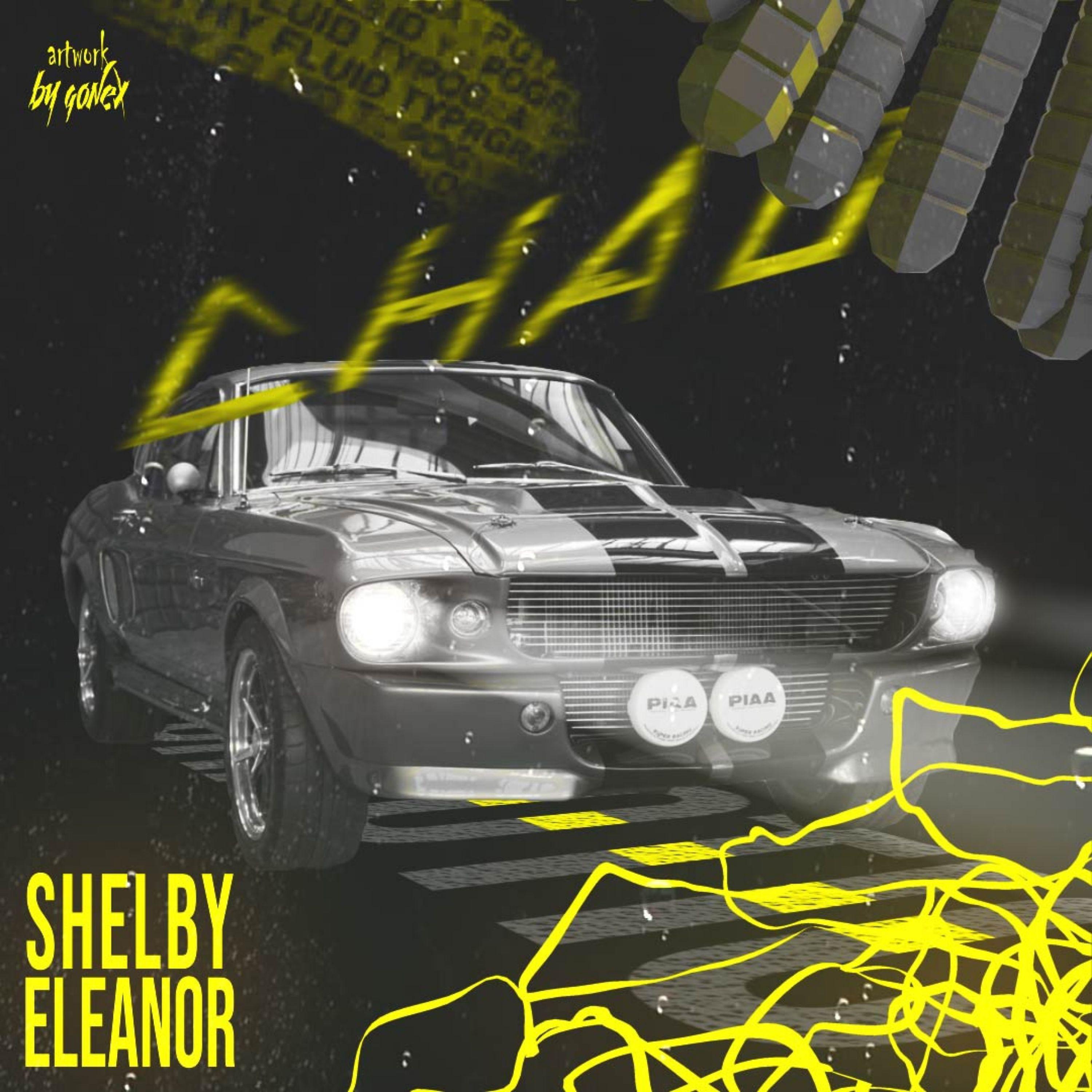 Постер альбома shelby eleanor