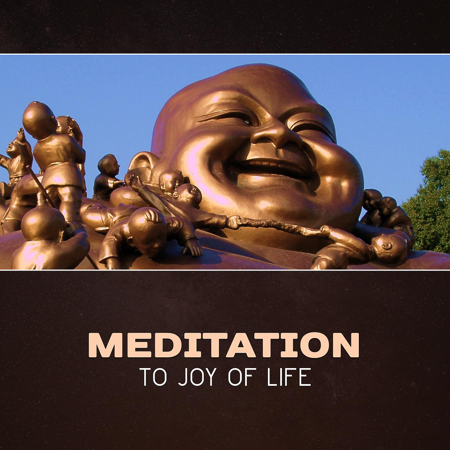 Постер альбома Meditation to Joy of Life