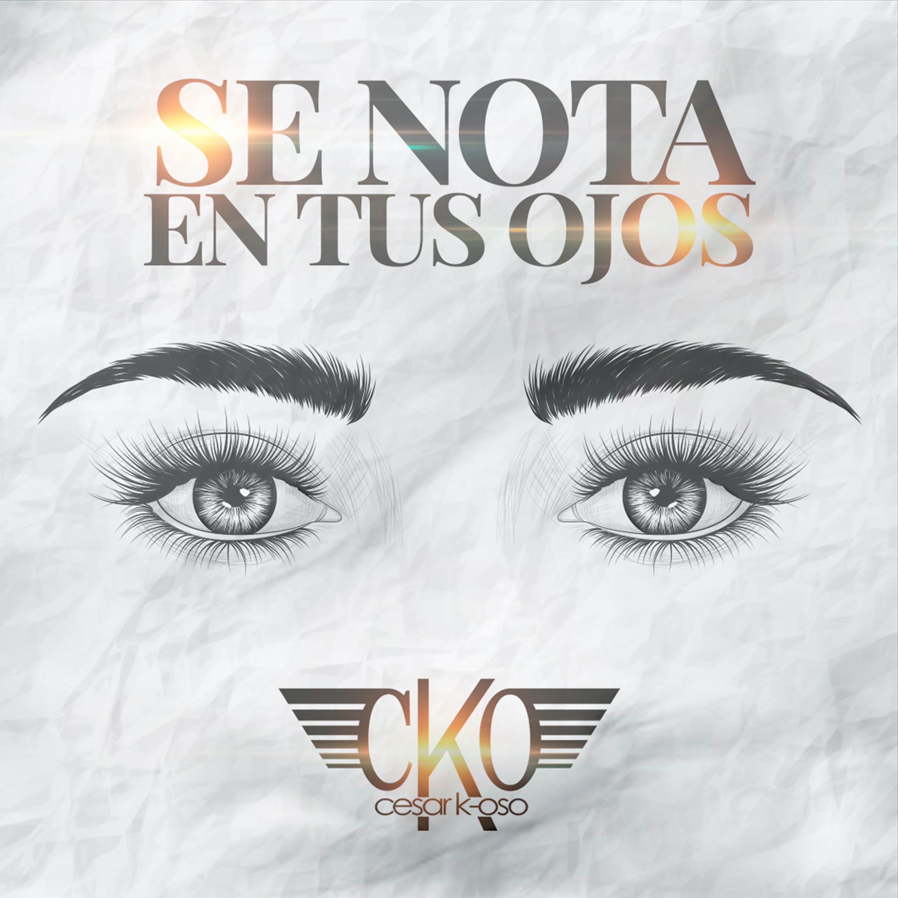 Постер альбома Se Nota en Tus Ojos