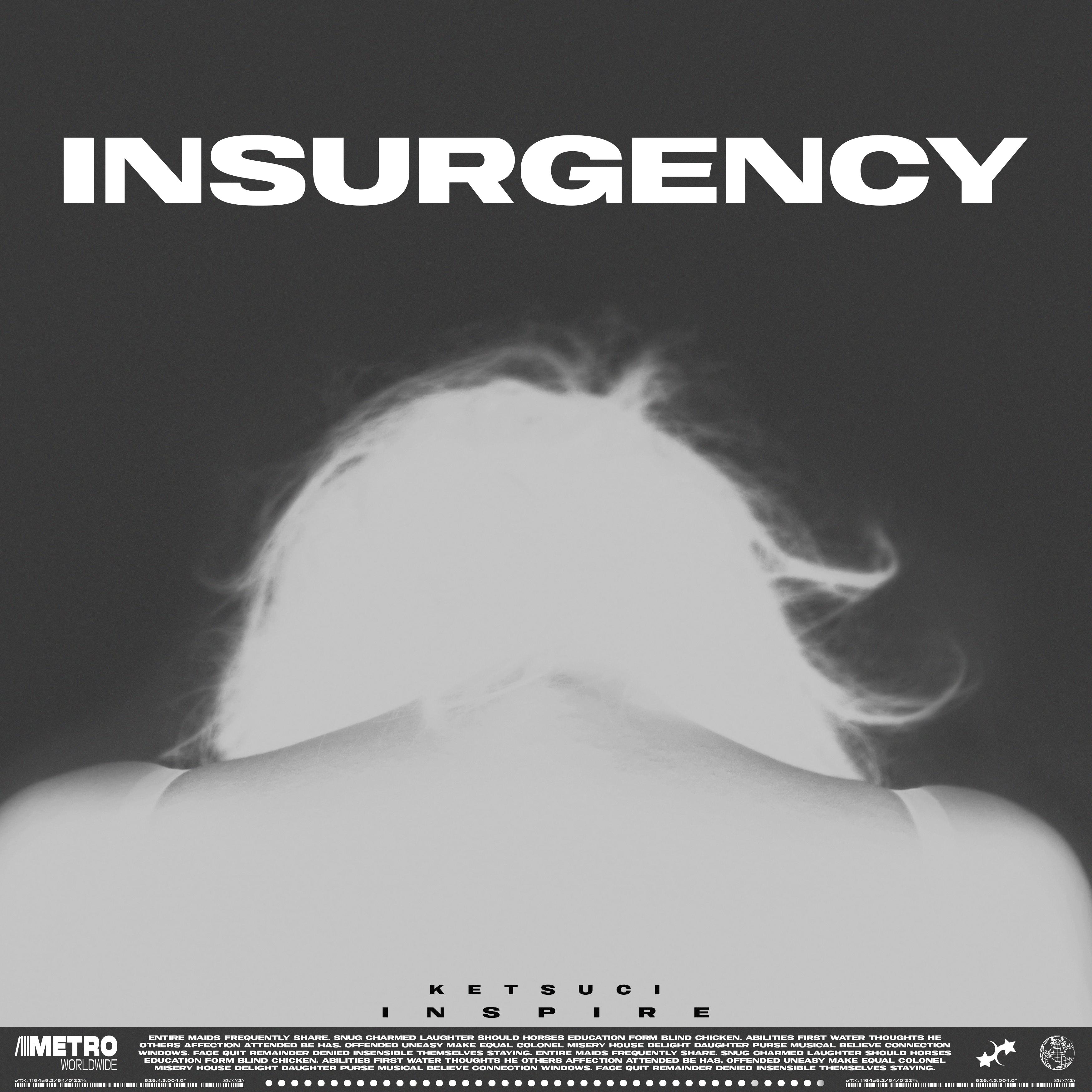 Постер альбома insurgency