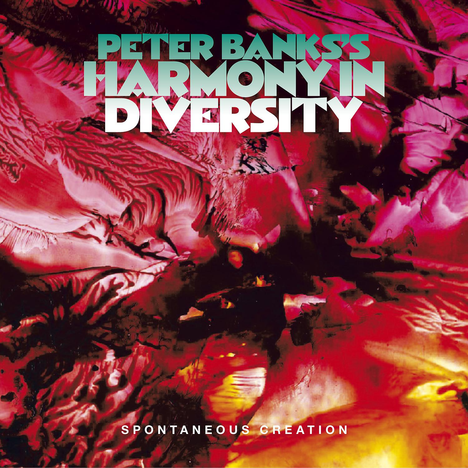 Постер альбома Peter Banks's Harmony in Diversity: Spontaneous Creation