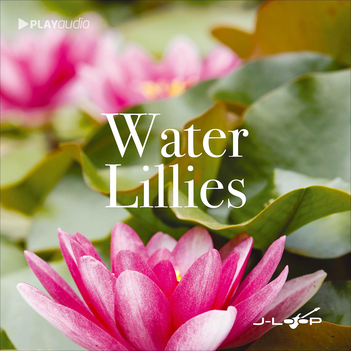 Постер альбома Water Lillies