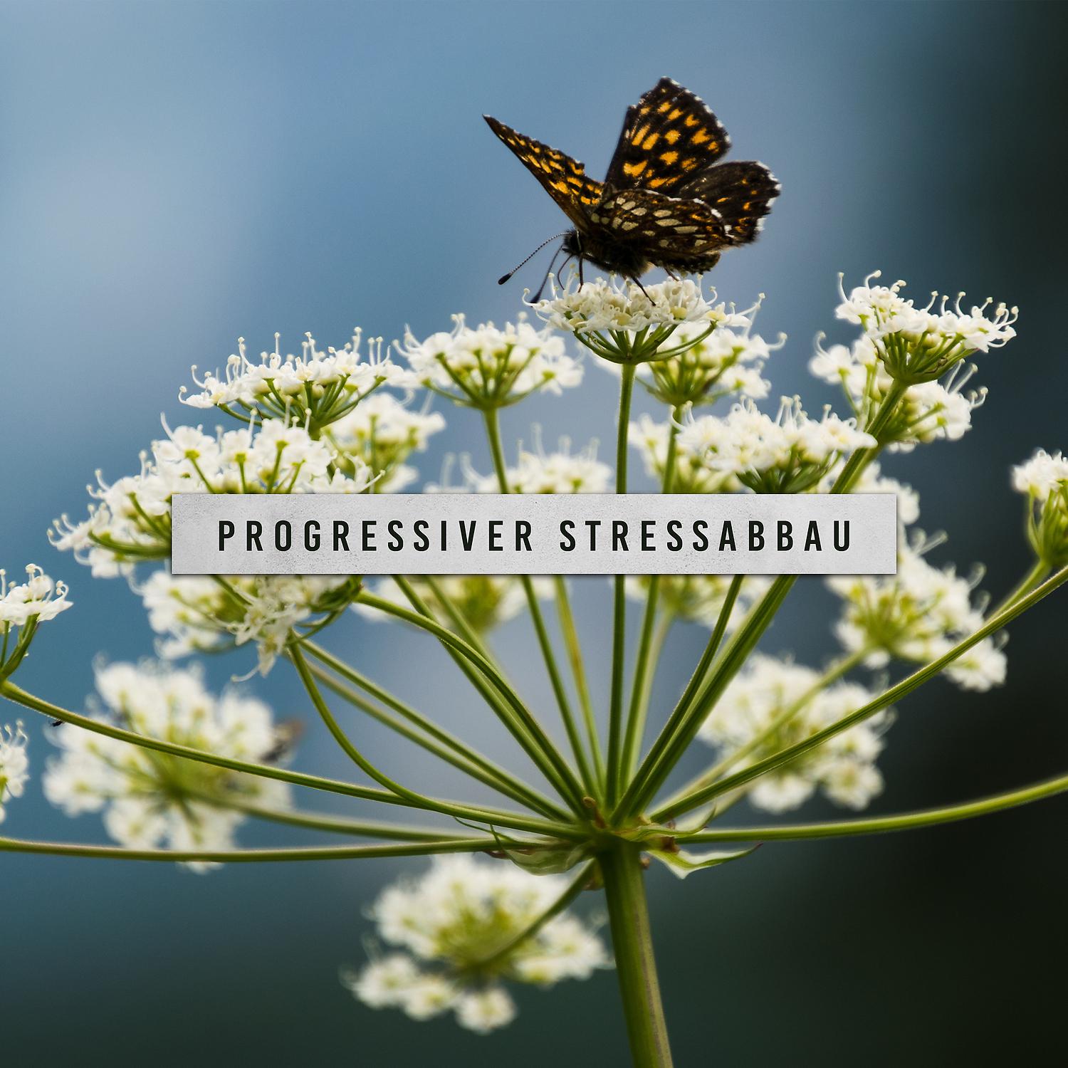 Постер альбома Progressiver Stressabbau: Entspannungsmusik und Naturgeräusche, Muskelentspannung, ruhiger Schlaf, Autogenes Training
