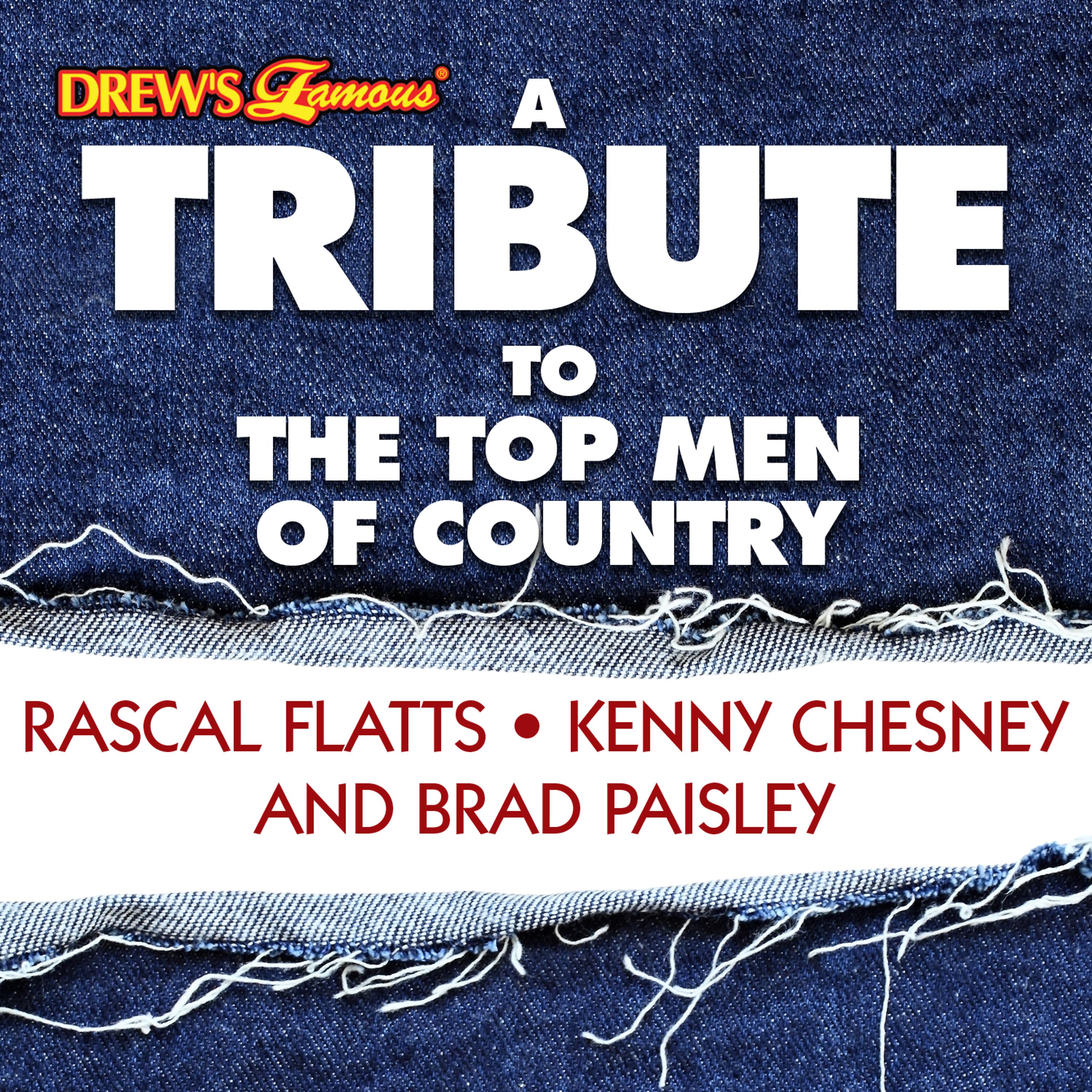 Постер альбома A Tribute to the Top Men of Country Rascal Flatts, Kenny Chesney and Brad Paisley