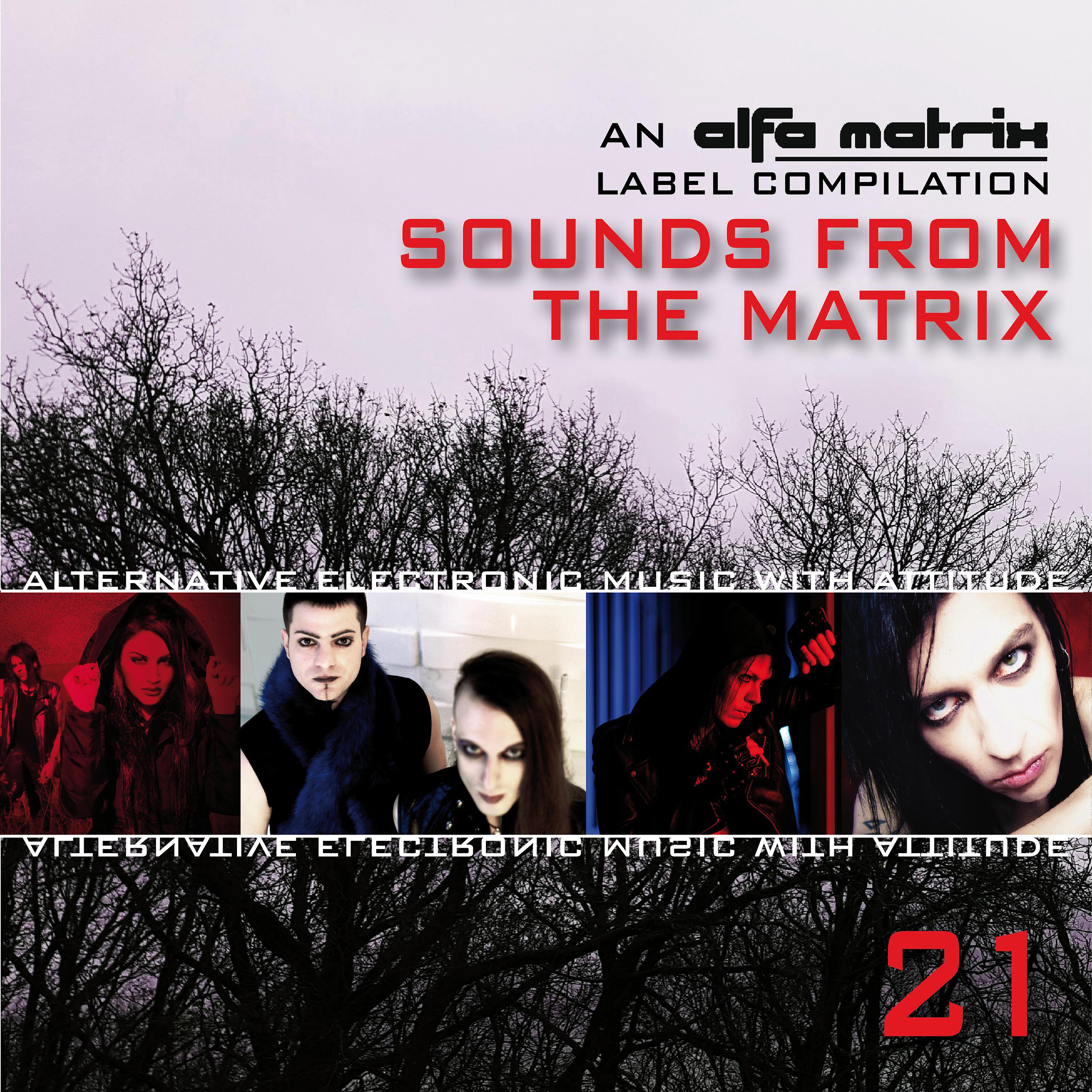 Постер альбома Sounds from the Matrix 021
