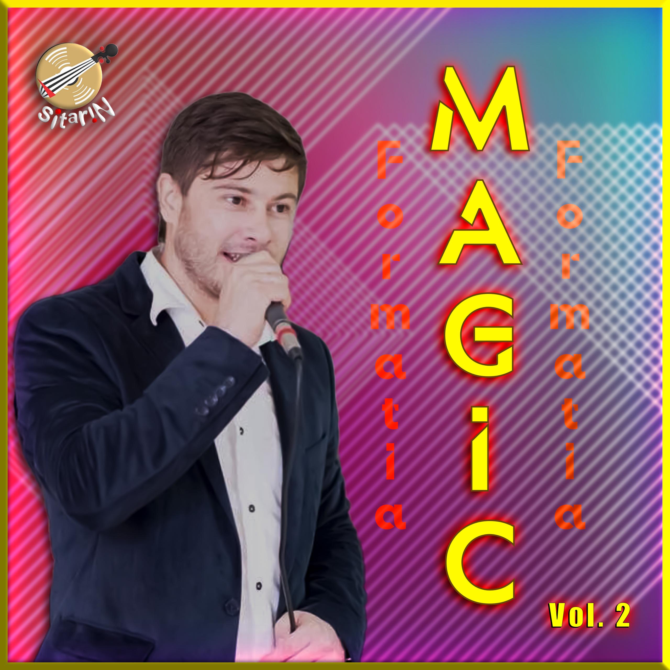 Постер альбома Formatia Magic, Vol. 2