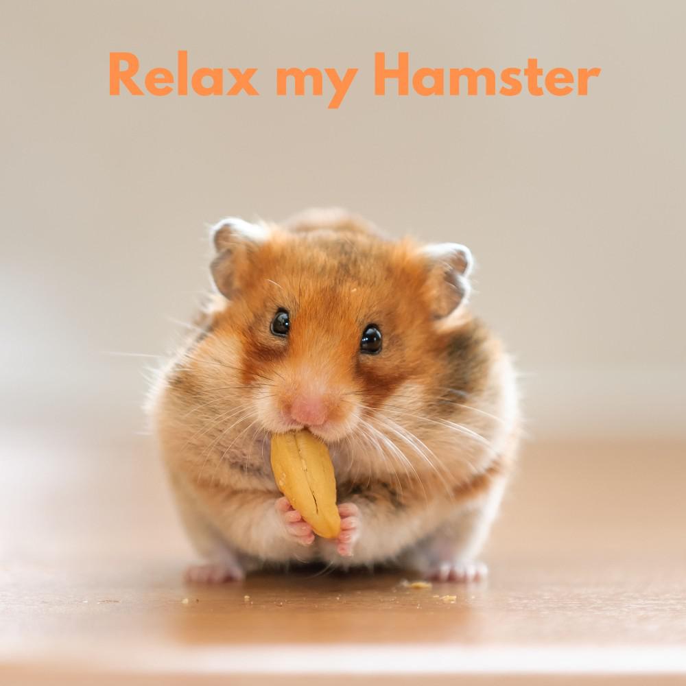 Постер альбома Relax My Hamster Vol. 2