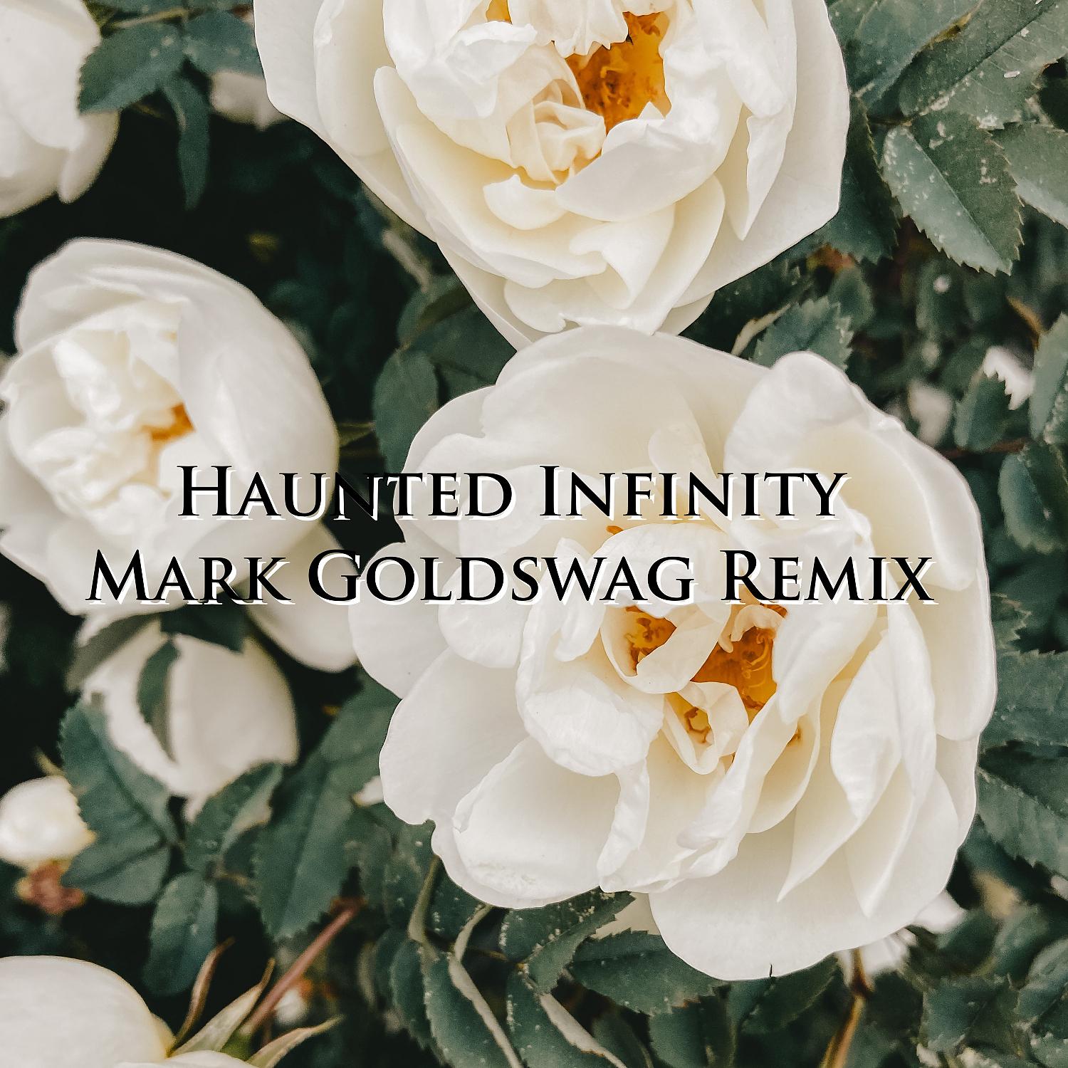 Постер альбома Haunted Infinity (Mark Goldswag Remix)