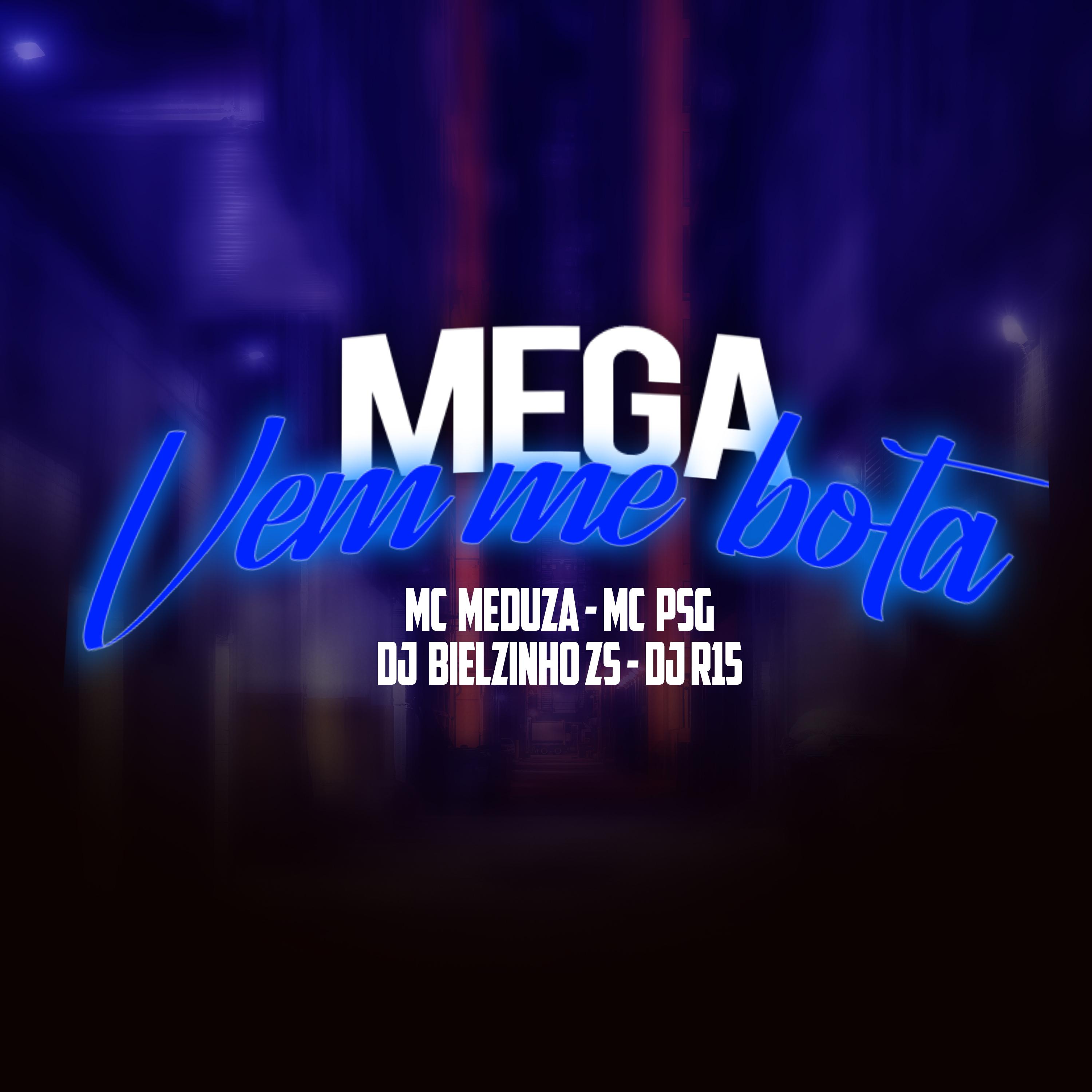 Постер альбома Mega Vem Me Bota