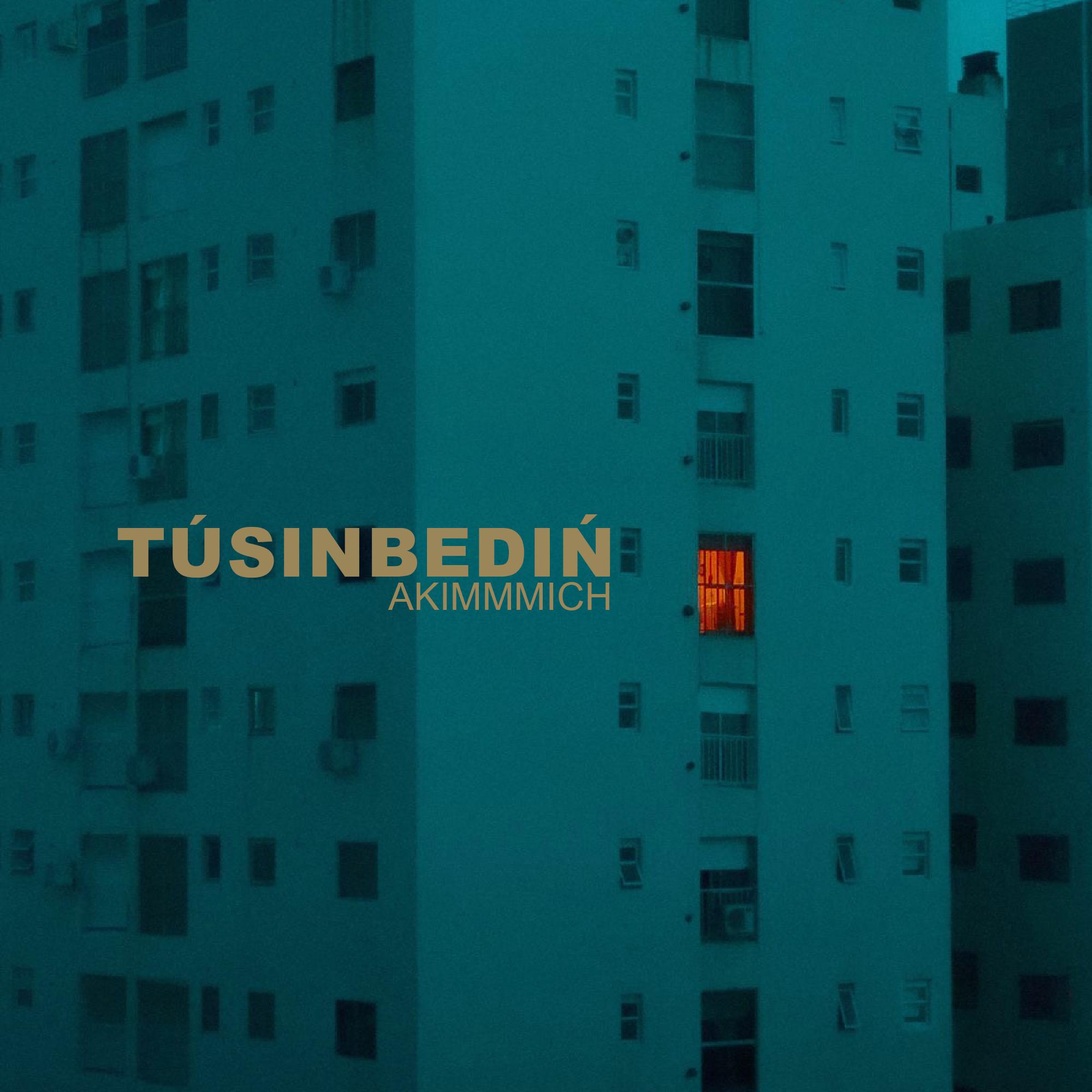 Постер альбома Túsіnbedіń